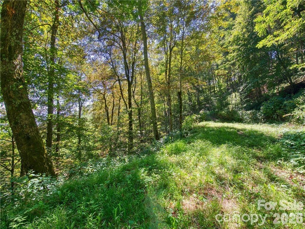 Lot at Lot E6 Unula Loop, Maggie Valley, photo 6 of 17