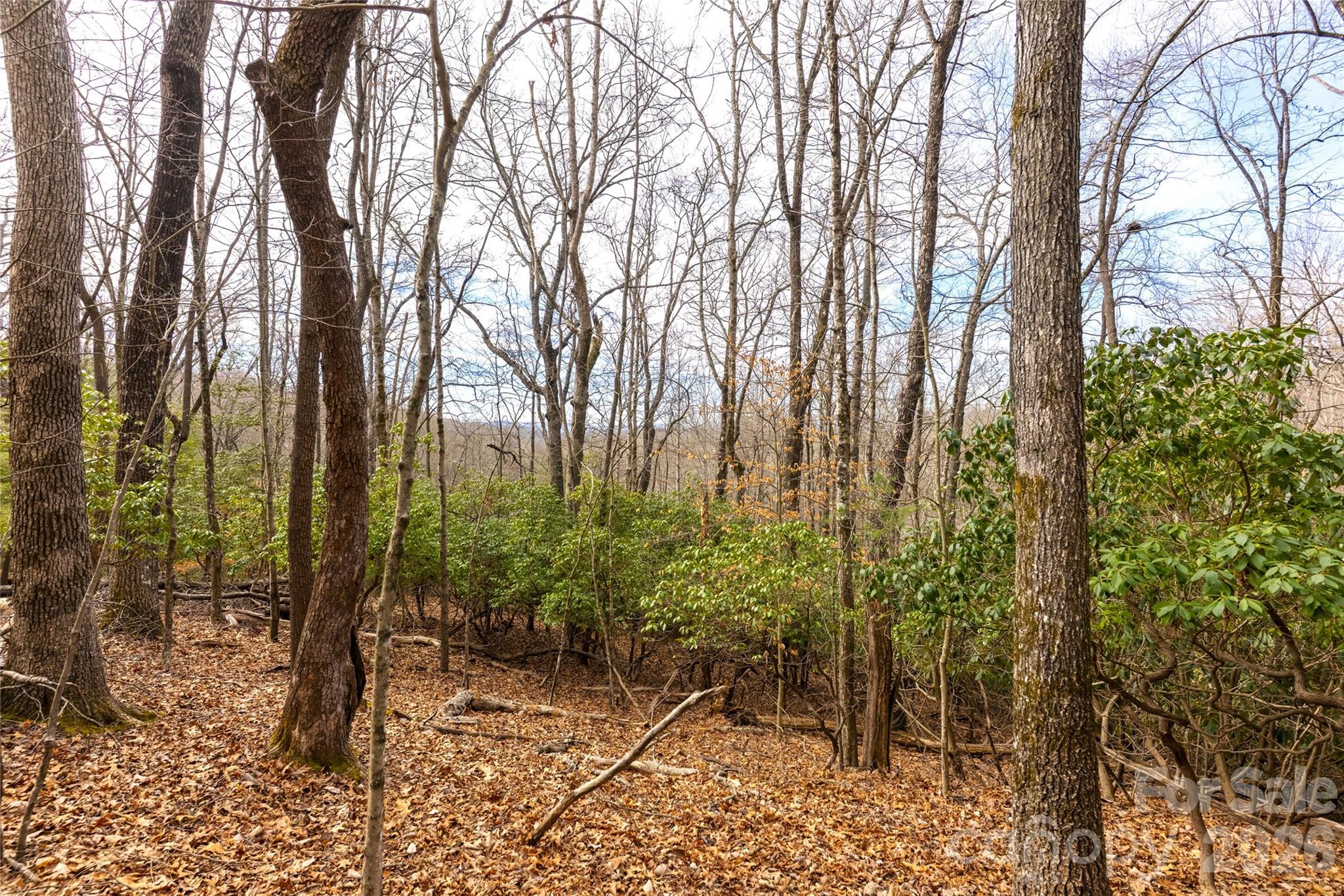 Lot at 0 Aberdeen Lane, Pisgah Forest, photo 2 of 4