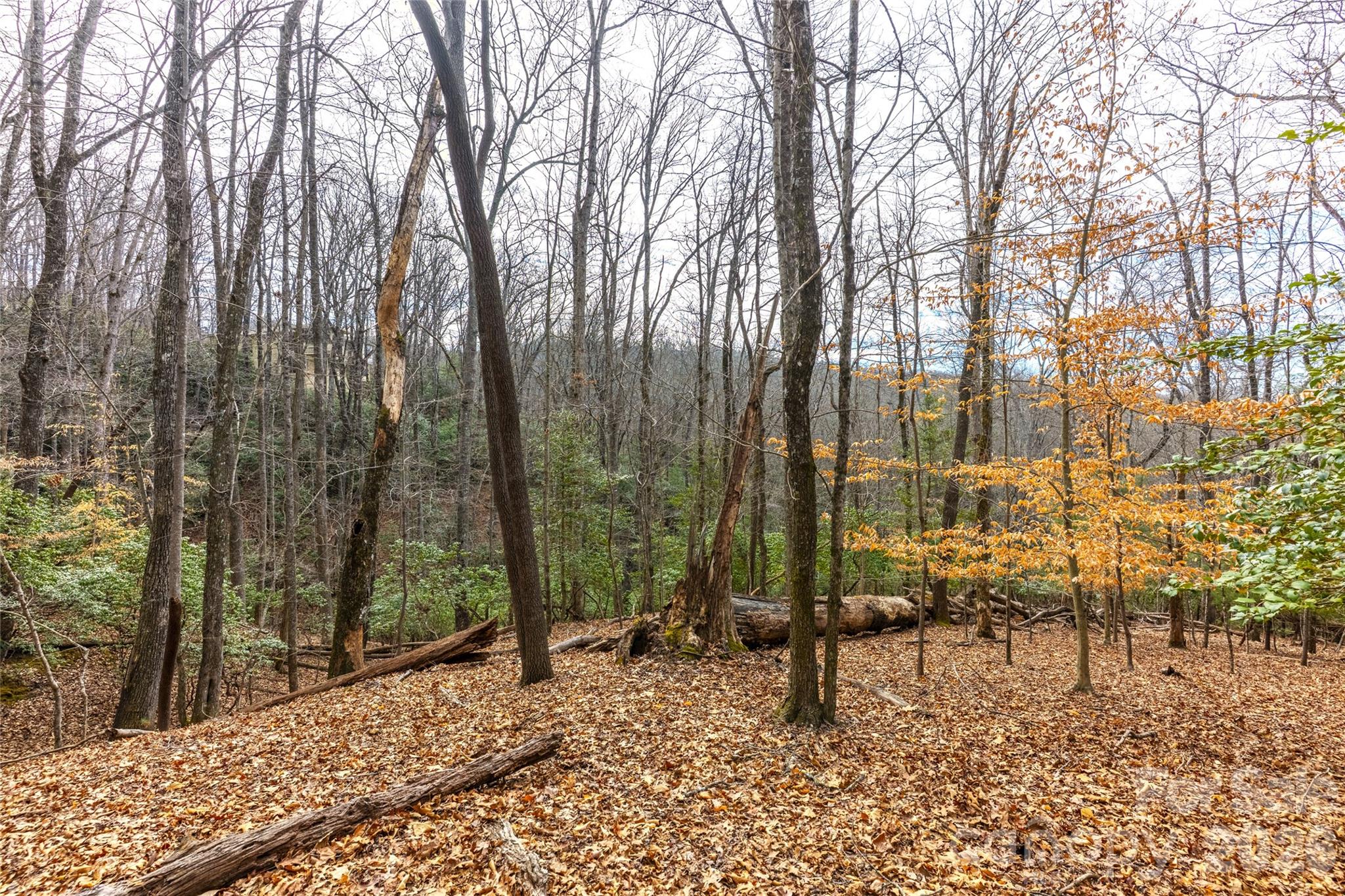 Lot at 0 Aberdeen Lane, Pisgah Forest, photo 3 of 4