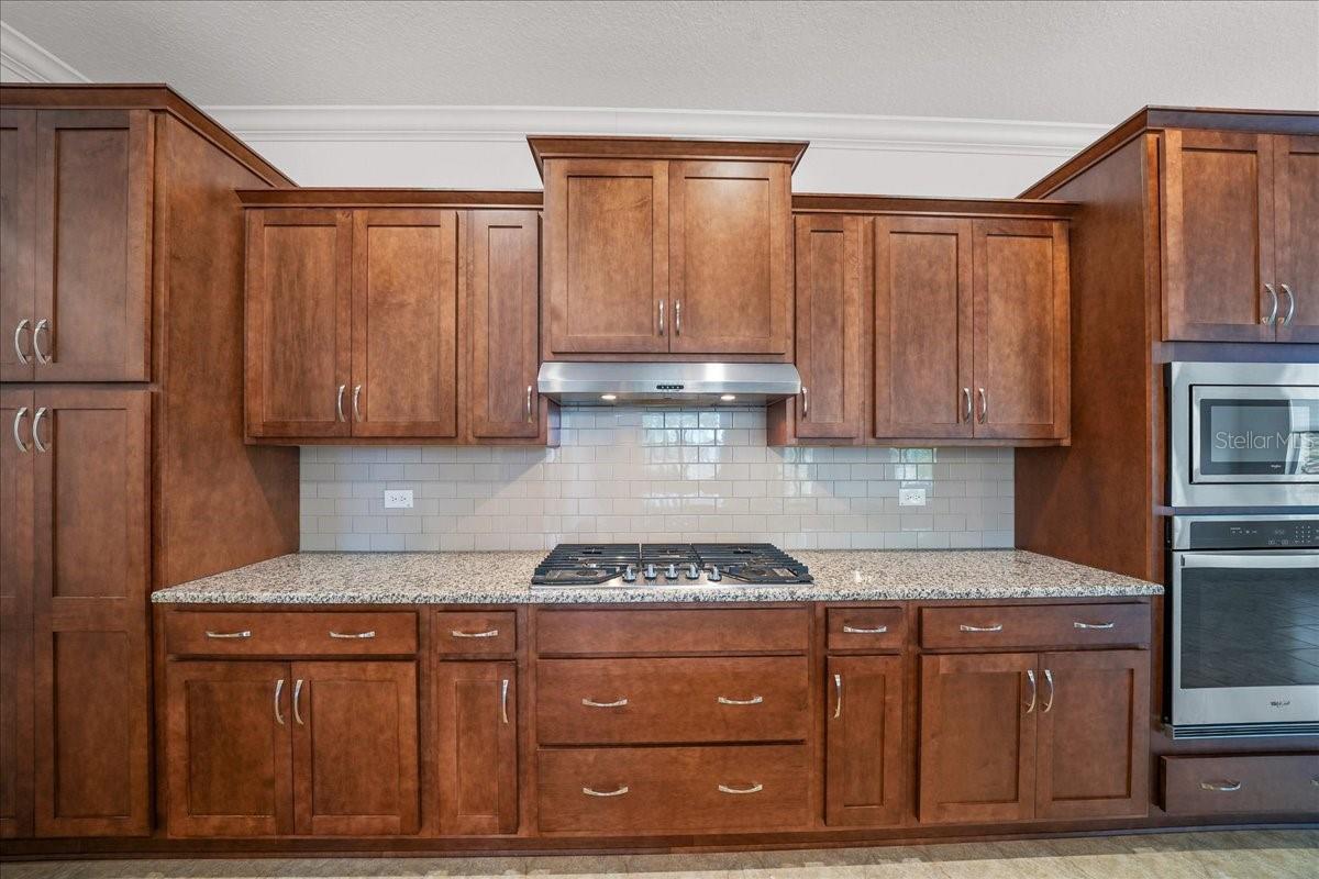 Single Family Residence at 10252 SW 96TH LOOP, OCALA, photo 17 of 69