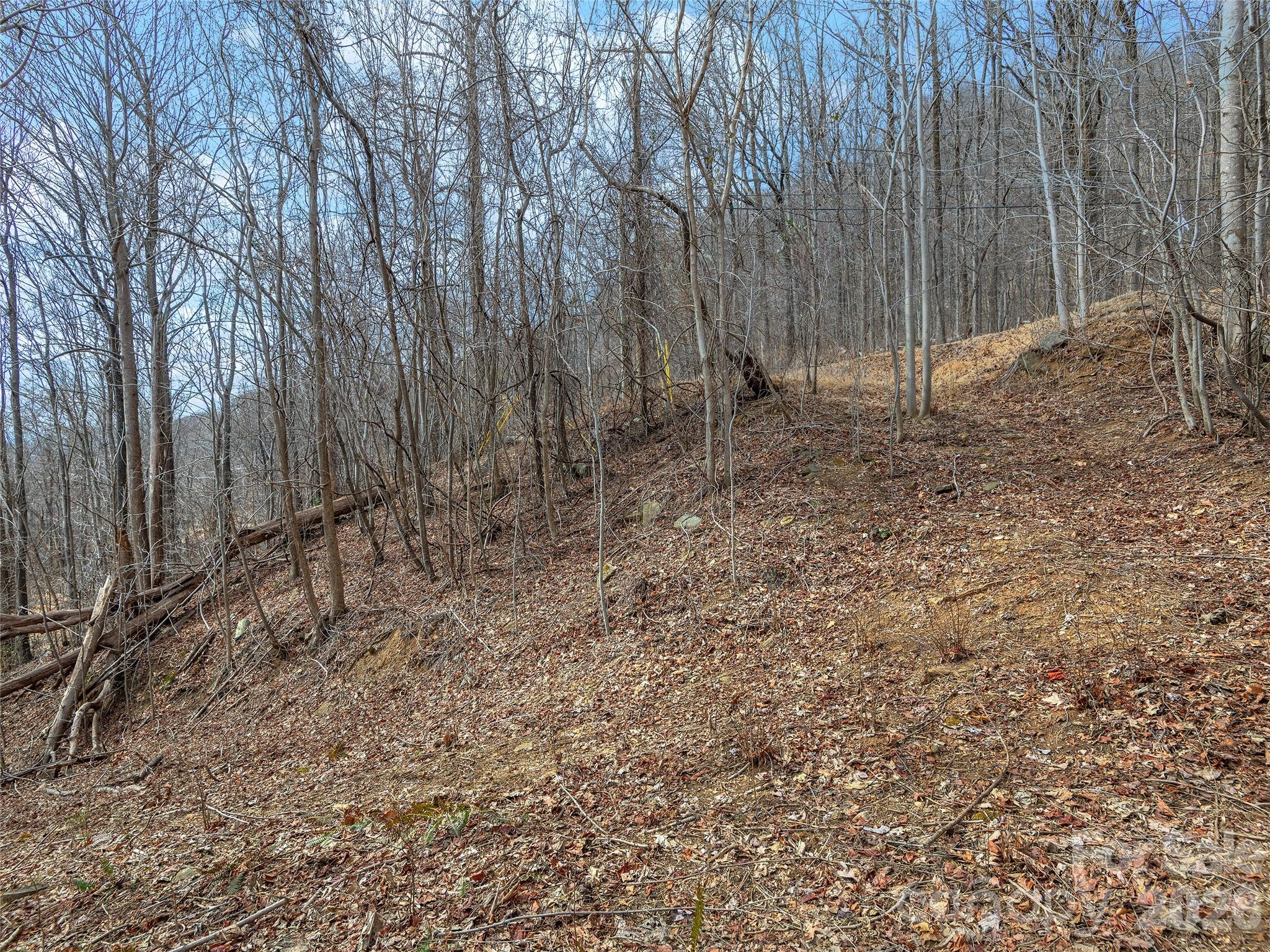 Lot at Lot 56 White Oak Mountain Road, Columbus, photo 8 of 10