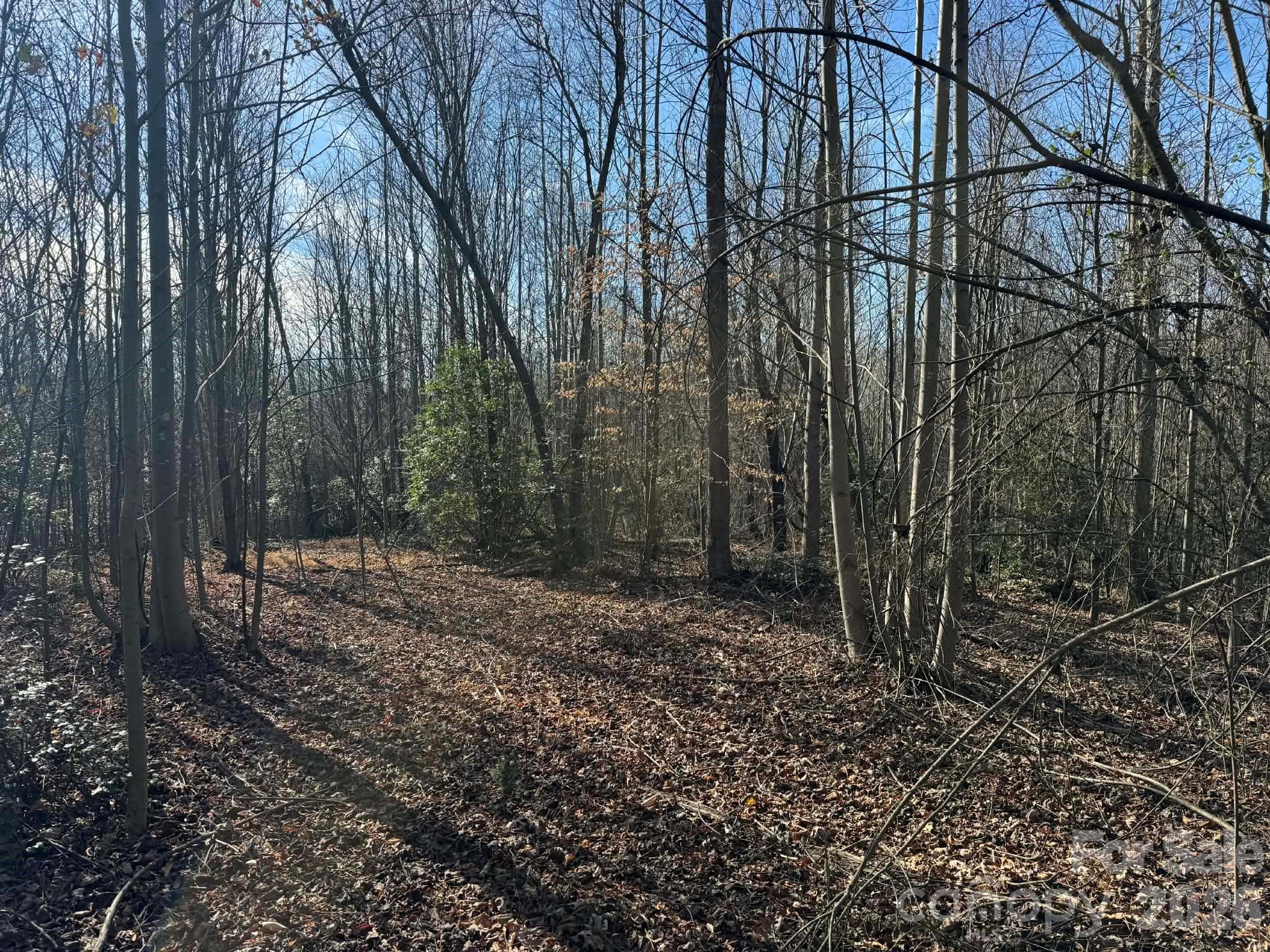 Acreage at TBD Rock Creek Church Road, North Wilkesboro, photo 10 of 47