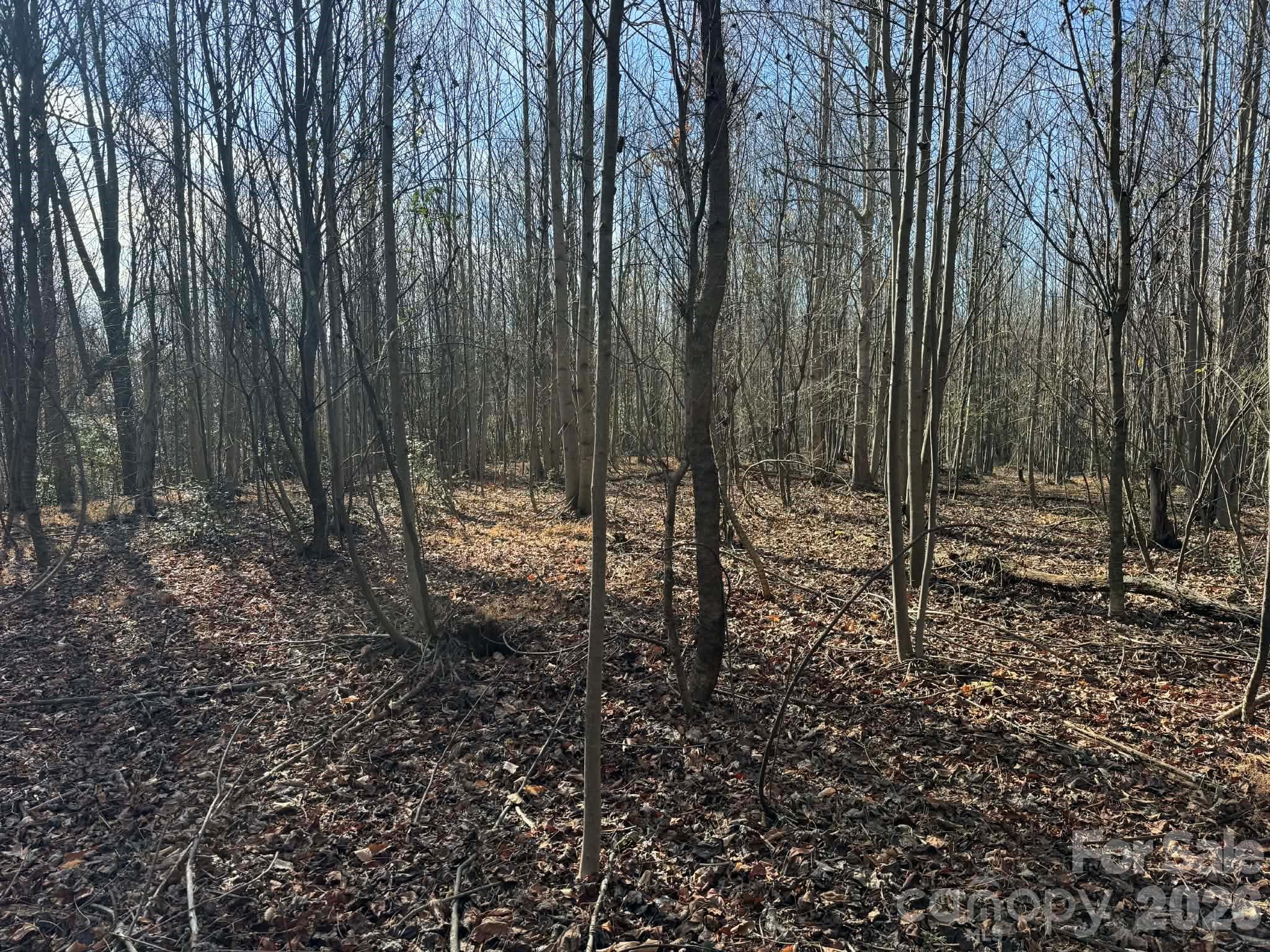 Acreage at TBD Rock Creek Church Road, North Wilkesboro, photo 11 of 47