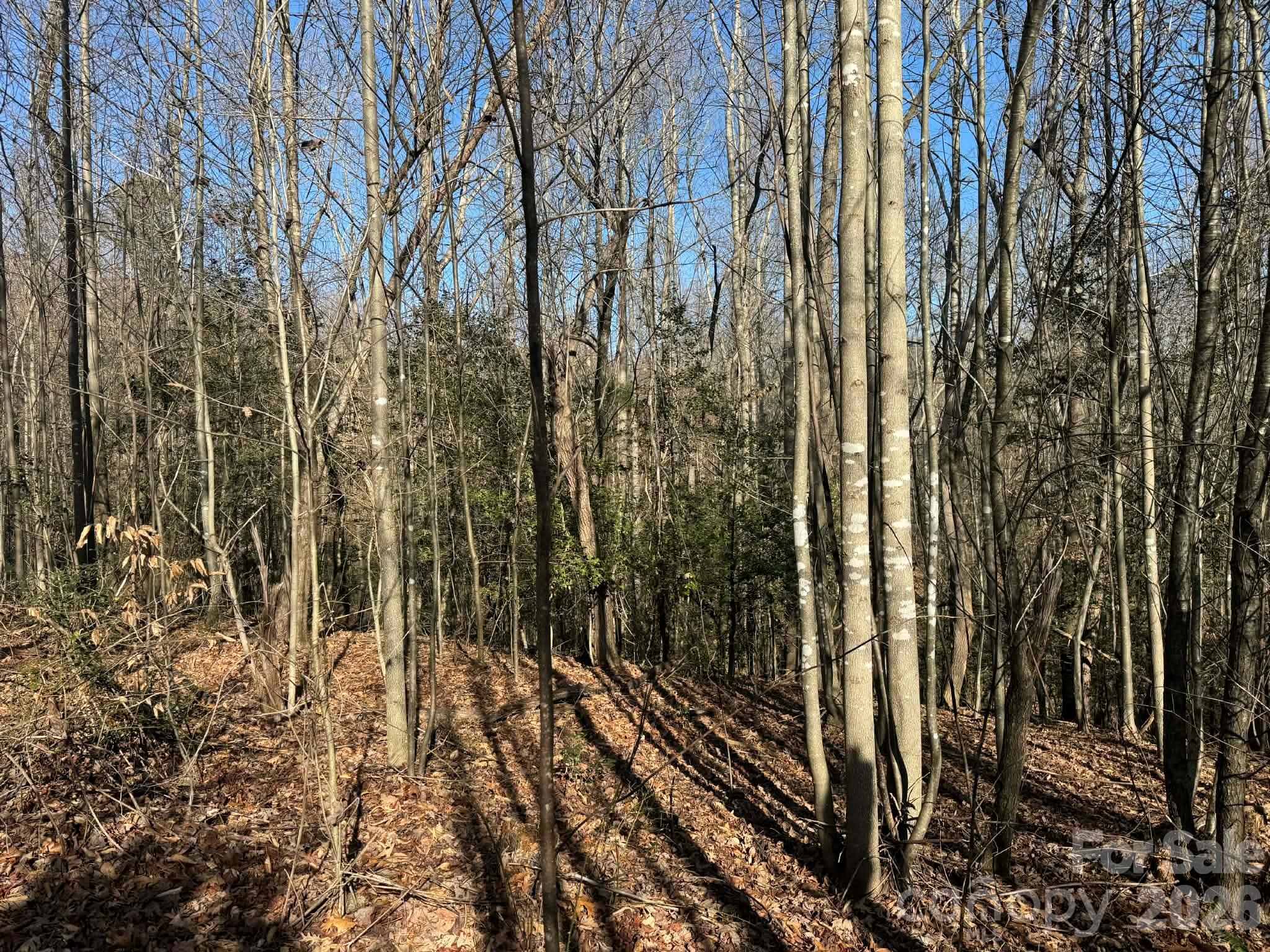Acreage at TBD Rock Creek Church Road, North Wilkesboro, photo 28 of 47