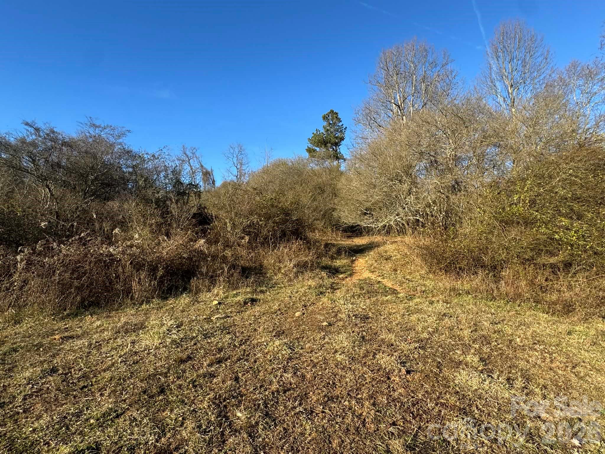 Acreage at TBD Rock Creek Church Road, North Wilkesboro, photo 33 of 47