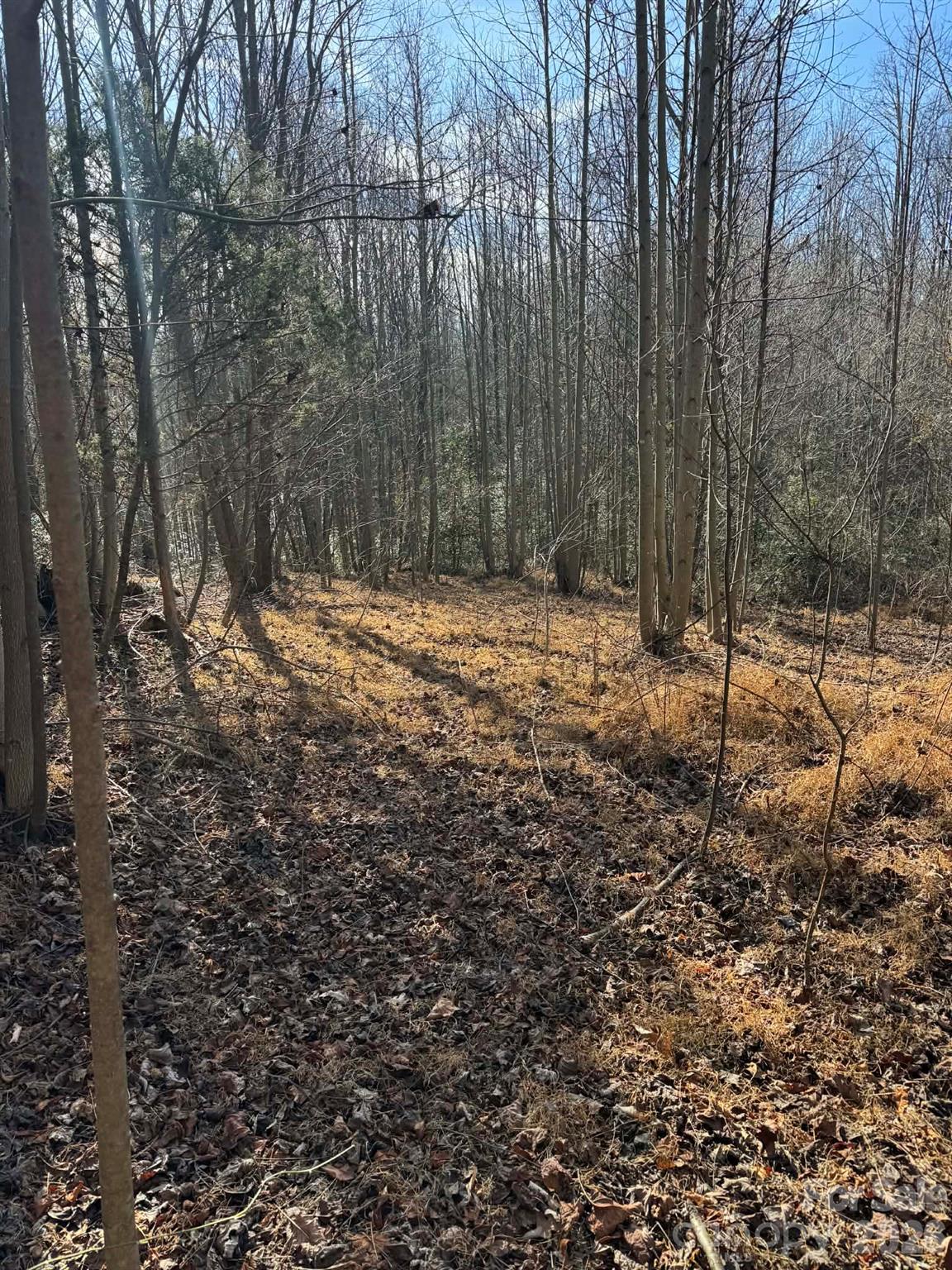 Acreage at 001 Rock Creek Church Road, North Wilkesboro, photo 2 of 30