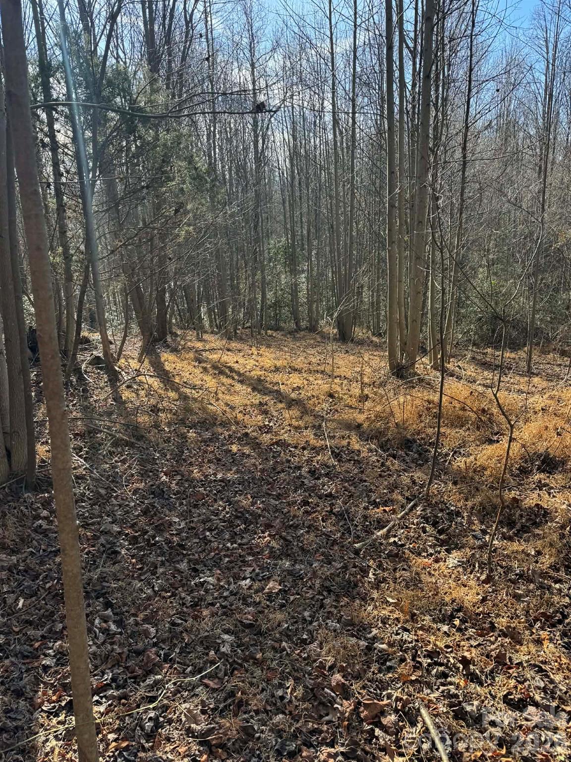 Acreage at 001 Rock Creek Church Road, North Wilkesboro, photo 3 of 30