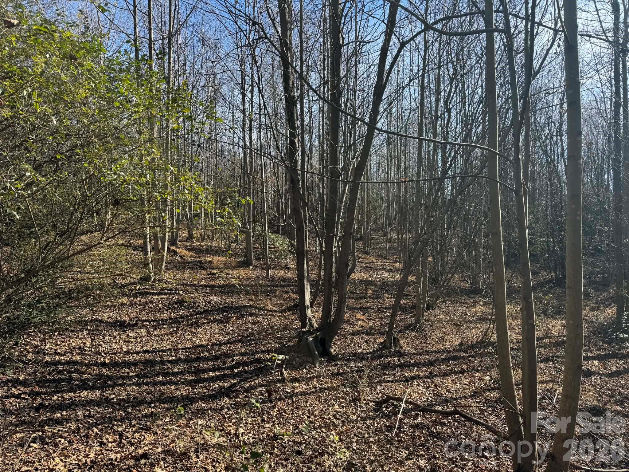 Acreage at 001 Rock Creek Church Road, North Wilkesboro, photo 11 of 30