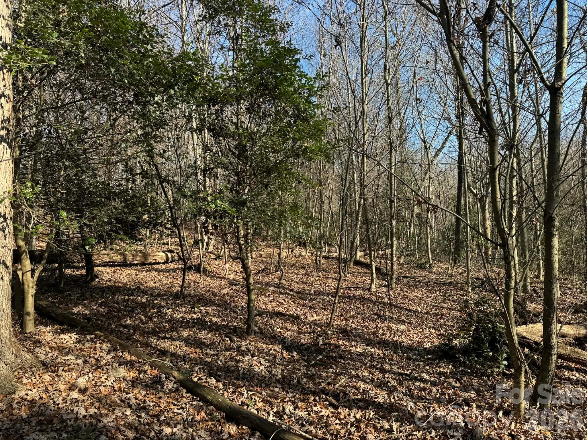Acreage at 001 Rock Creek Church Road, North Wilkesboro, photo 12 of 30
