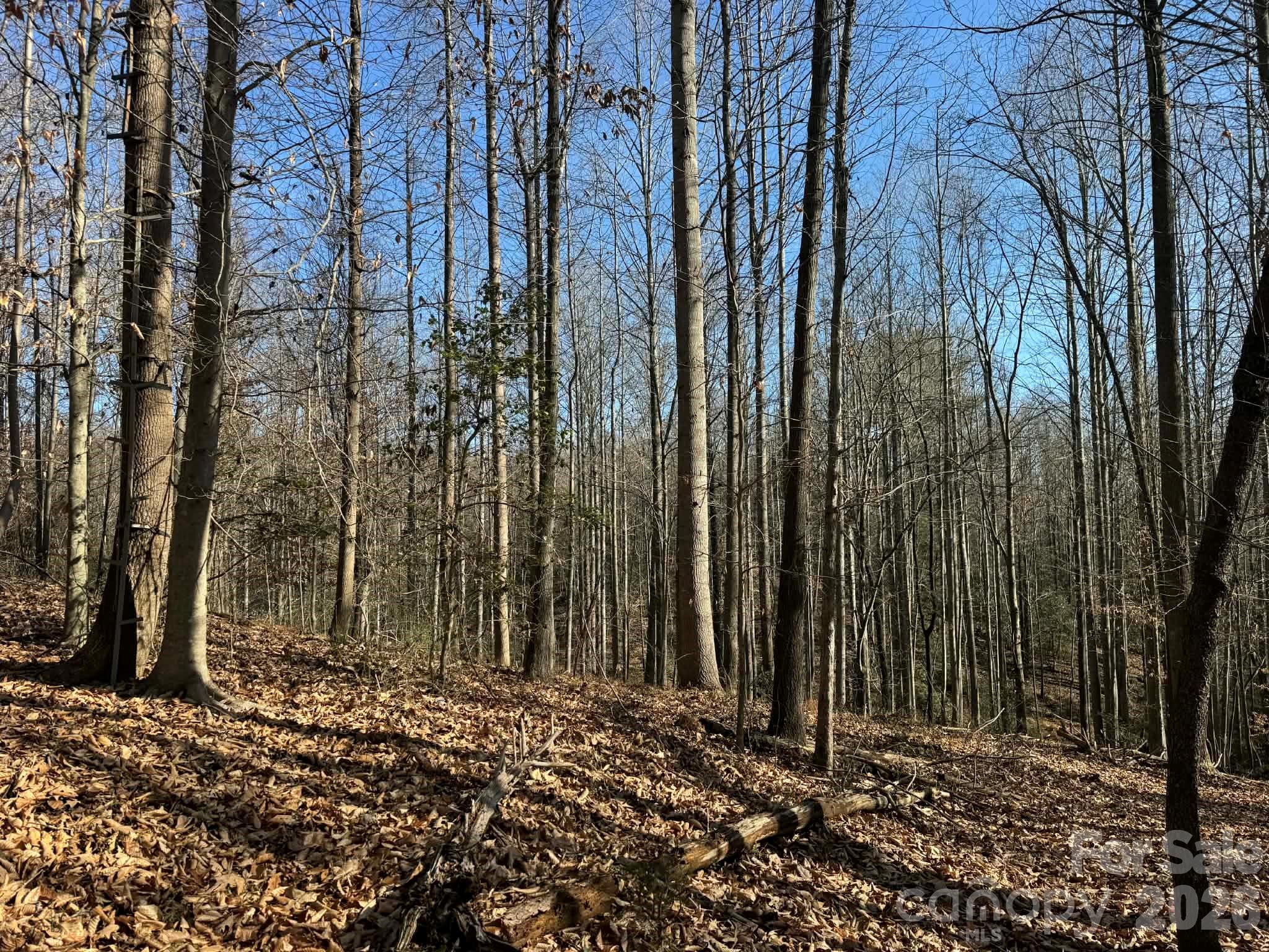 Acreage at 001 Rock Creek Church Road, North Wilkesboro, photo 15 of 30