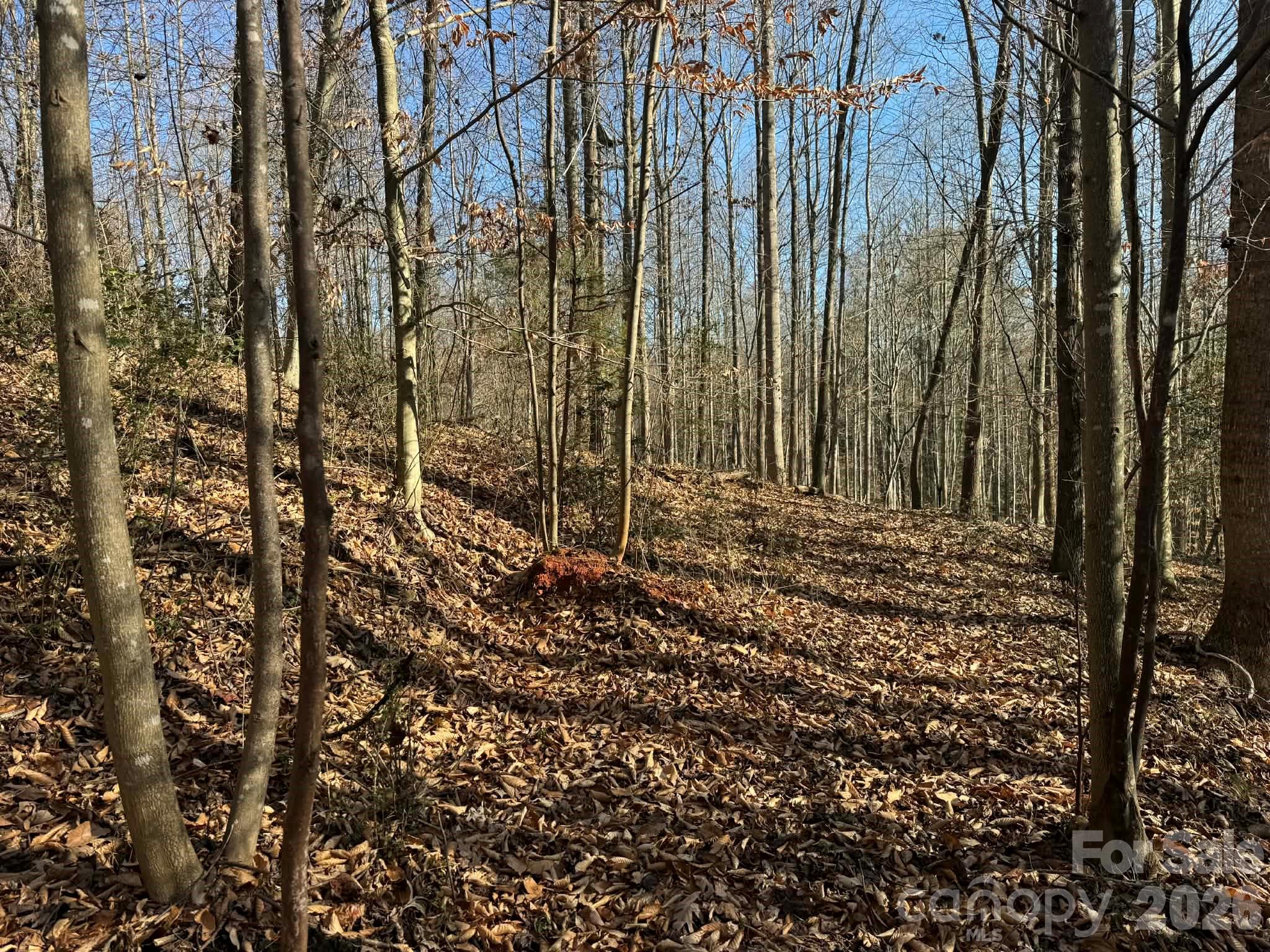 Acreage at 001 Rock Creek Church Road, North Wilkesboro, photo 16 of 30
