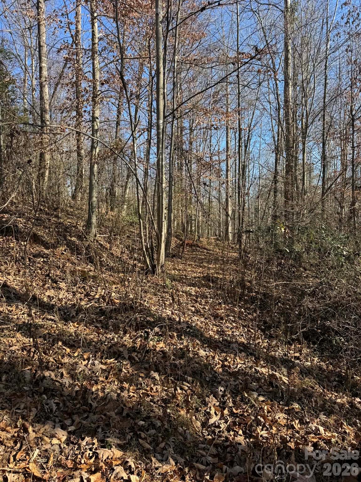 Acreage at 001 Rock Creek Church Road, North Wilkesboro, photo 18 of 30