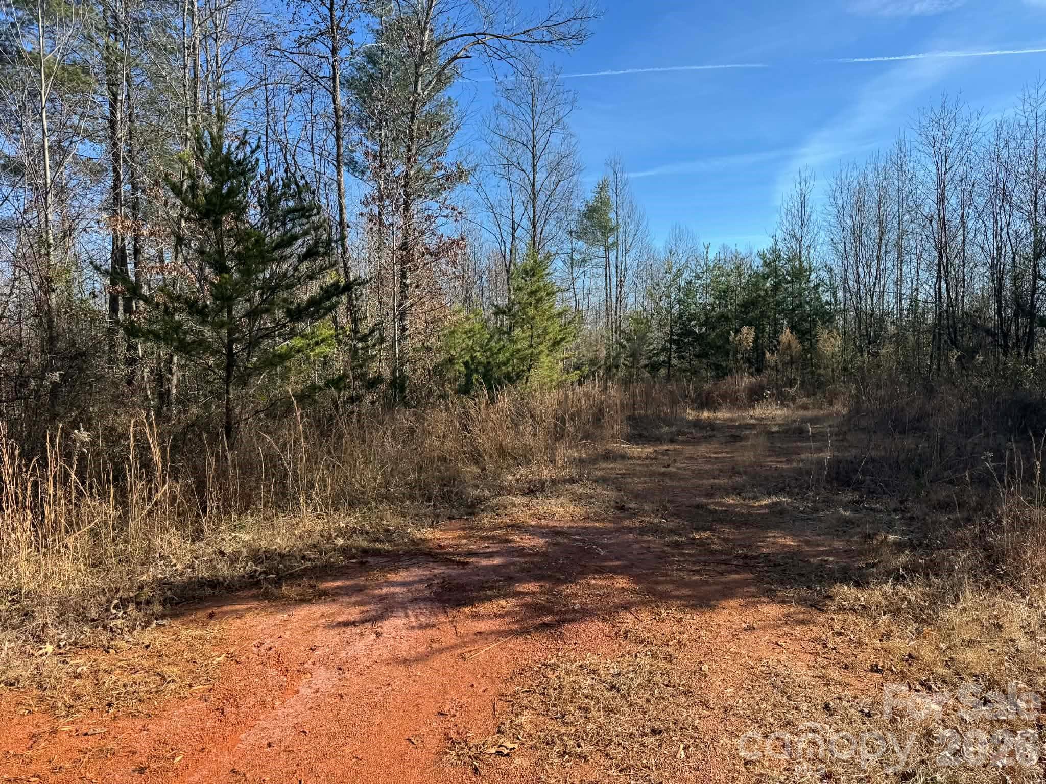 Acreage at 001 Rock Creek Church Road, North Wilkesboro, photo 19 of 30