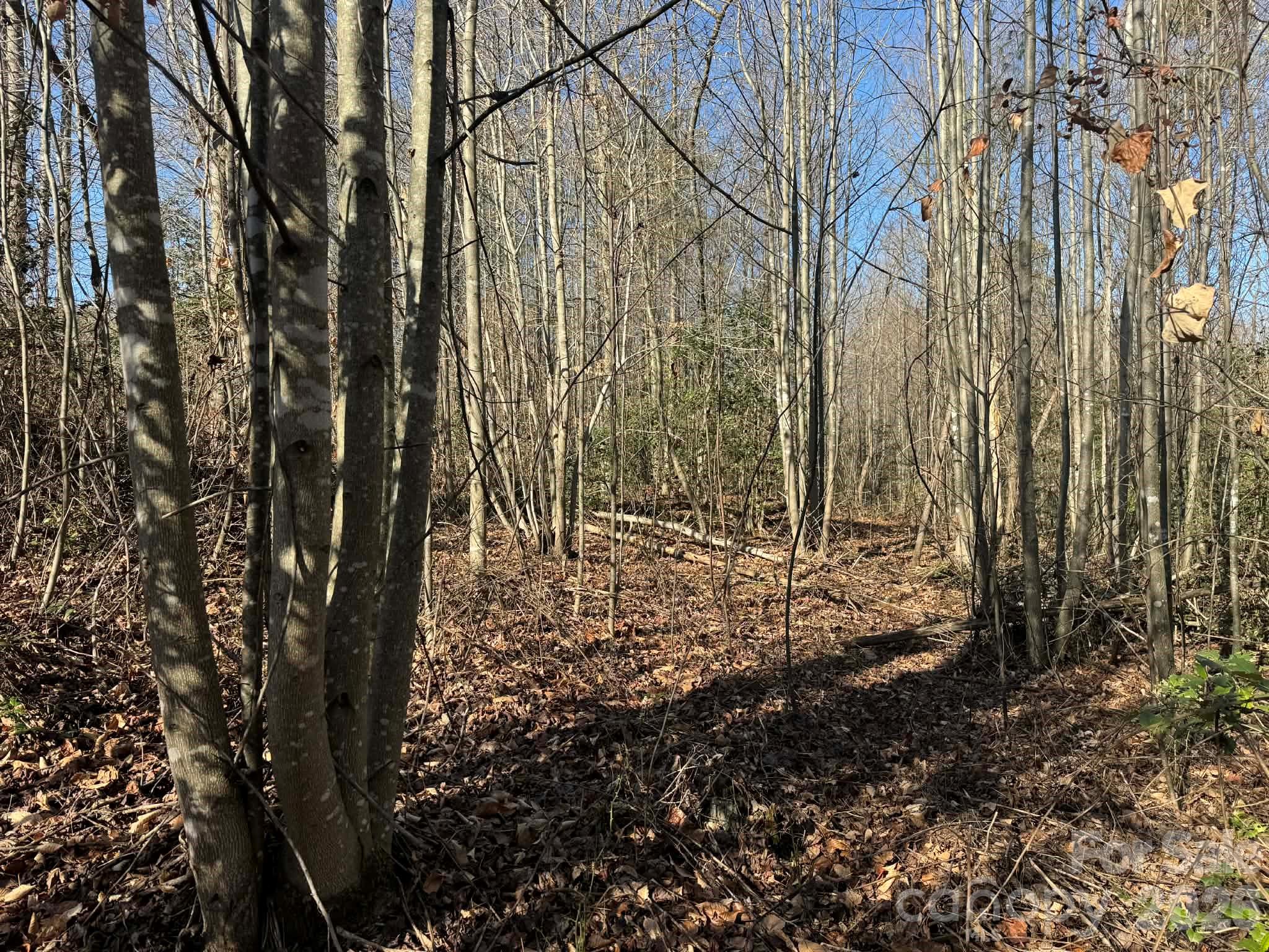 Acreage at 001 Rock Creek Church Road, North Wilkesboro, photo 23 of 30