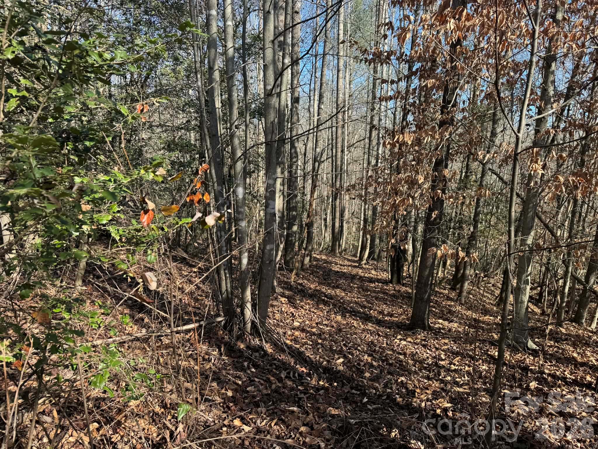 Acreage at 001 Rock Creek Church Road, North Wilkesboro, photo 24 of 30