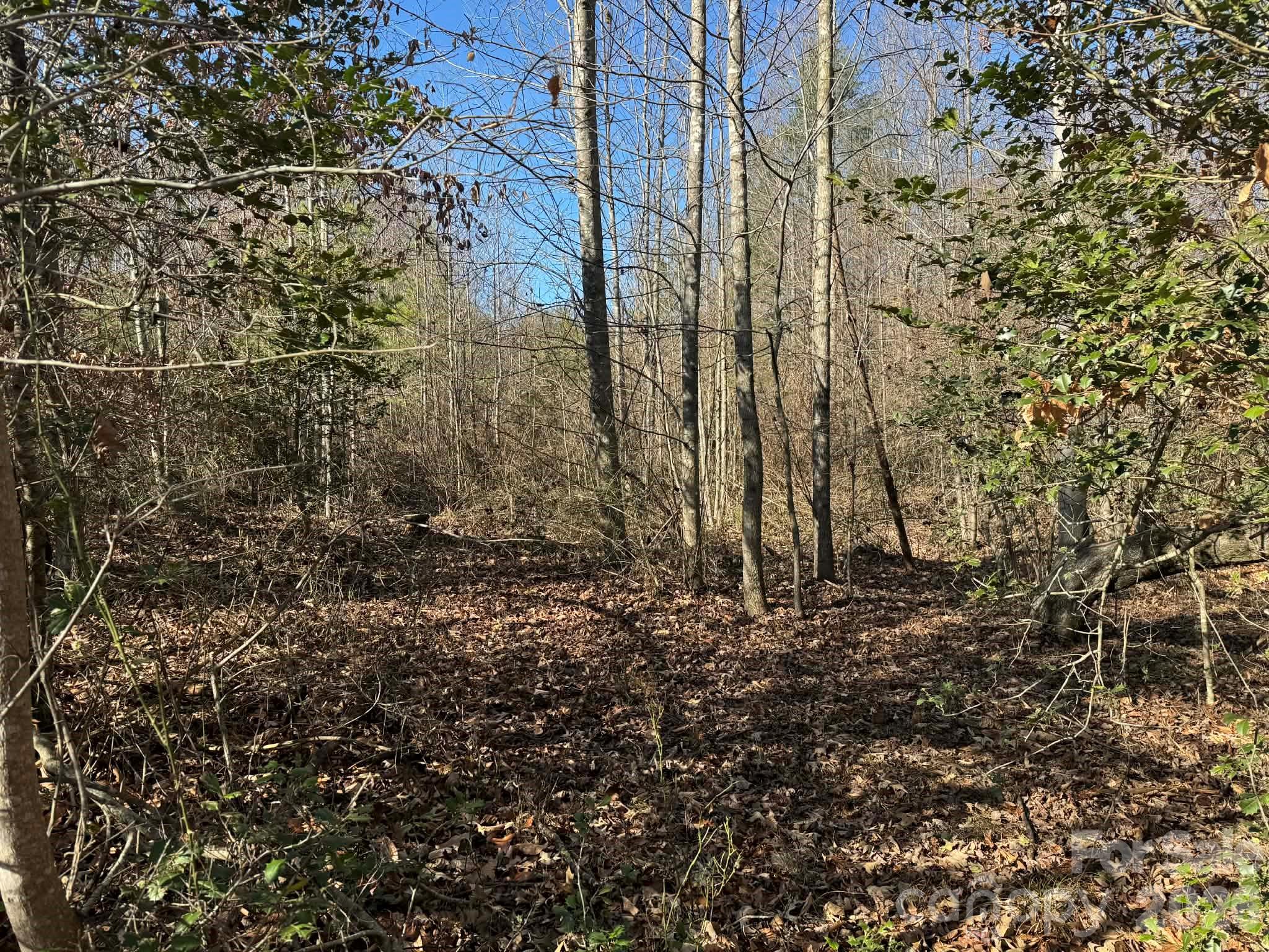Acreage at 001 Rock Creek Church Road, North Wilkesboro, photo 26 of 30