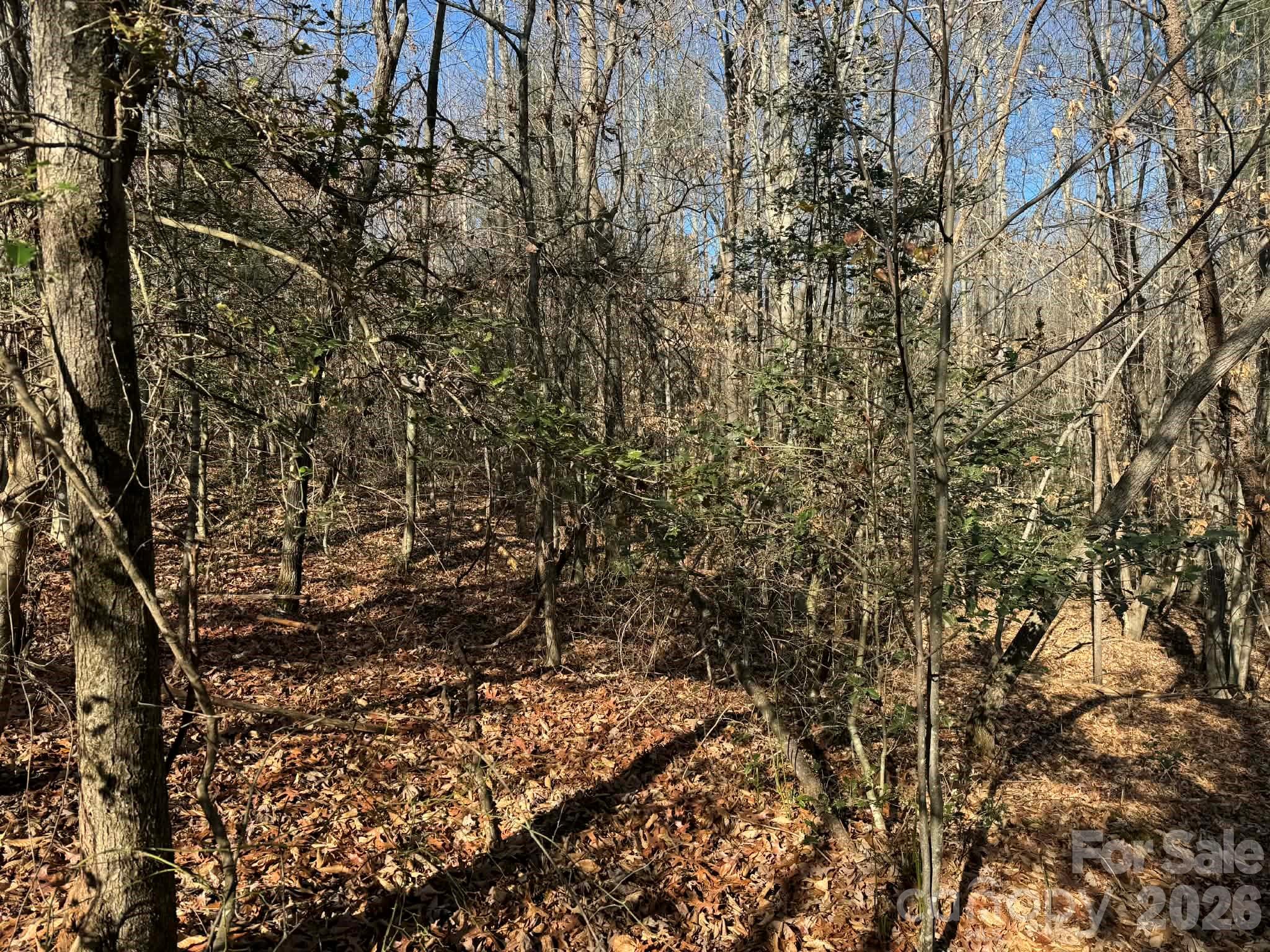Acreage at 002 Rock Creek Church Road, North Wilkesboro, photo 21 of 23