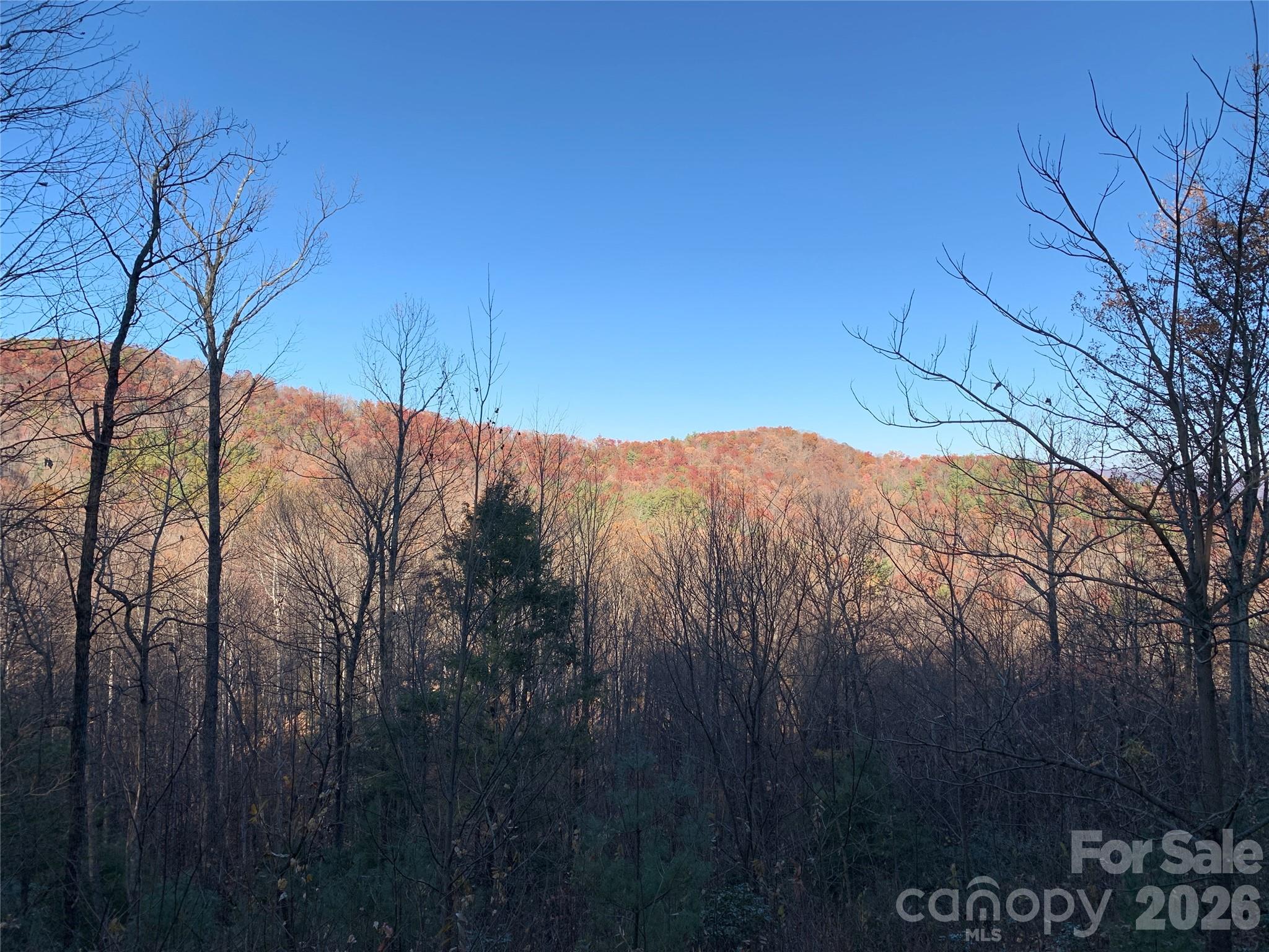 TBD (Lot 19) Wolf Den Lane