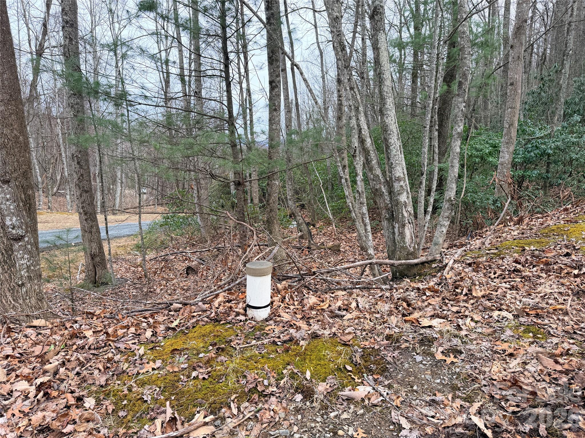Well Already Drilled - TBD (Lot 19) Wolf Den Lane, Lenoir