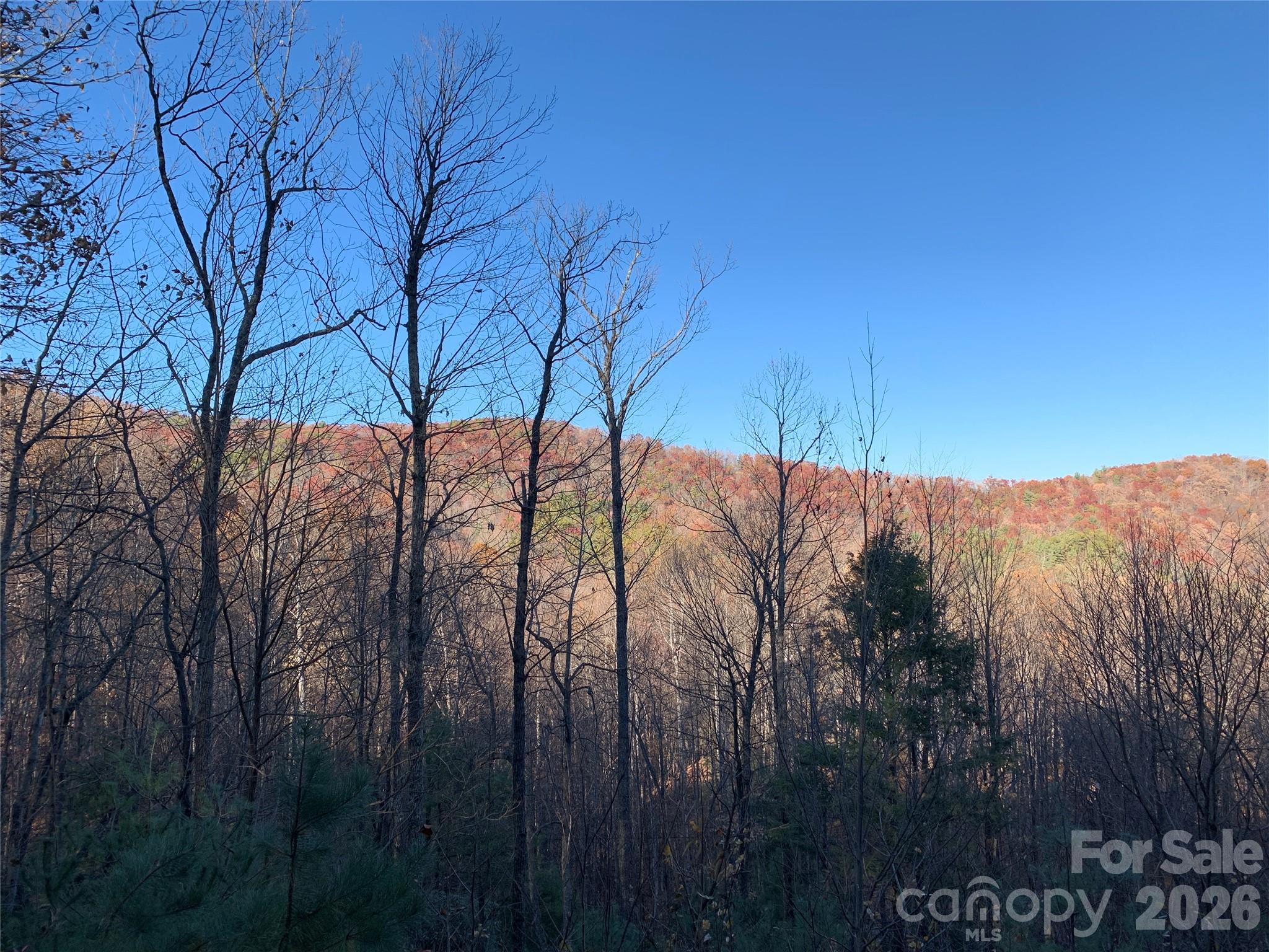 Lot at TBD (Lot 19) Wolf Den Lane, Lenoir, photo 6 of 14