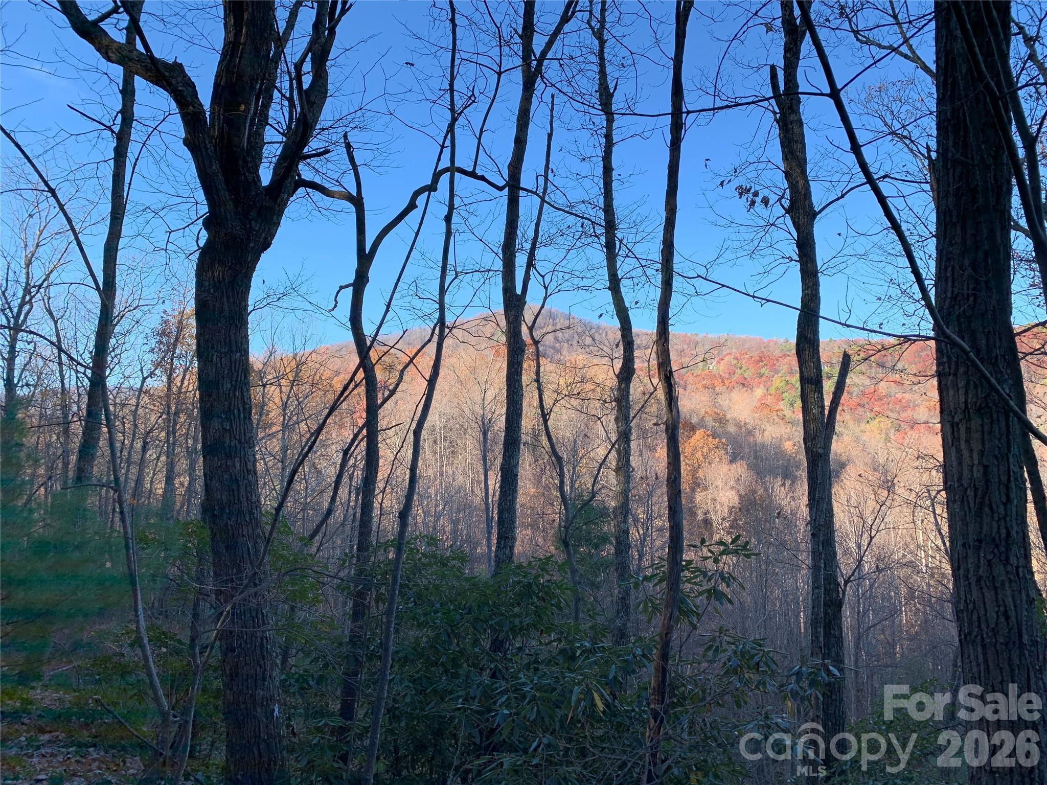 Lot at TBD (Lot 19) Wolf Den Lane, Lenoir, photo 7 of 14