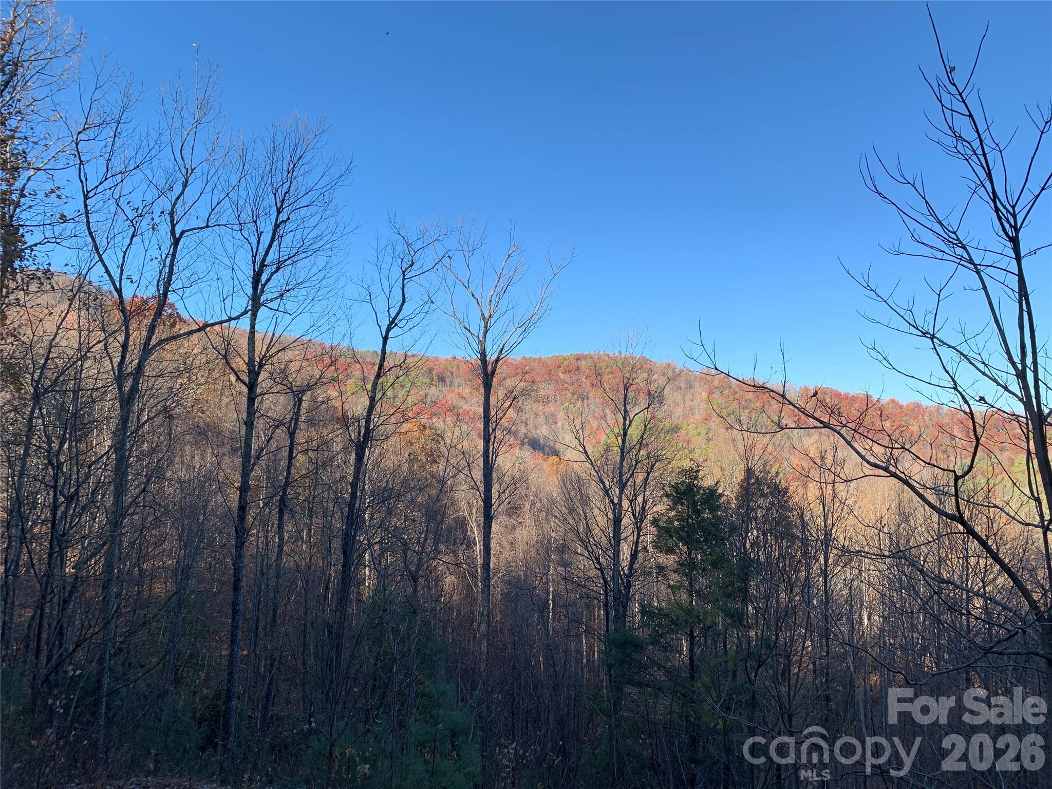 Lot at TBD (Lot 19) Wolf Den Lane, Lenoir, photo 8 of 14