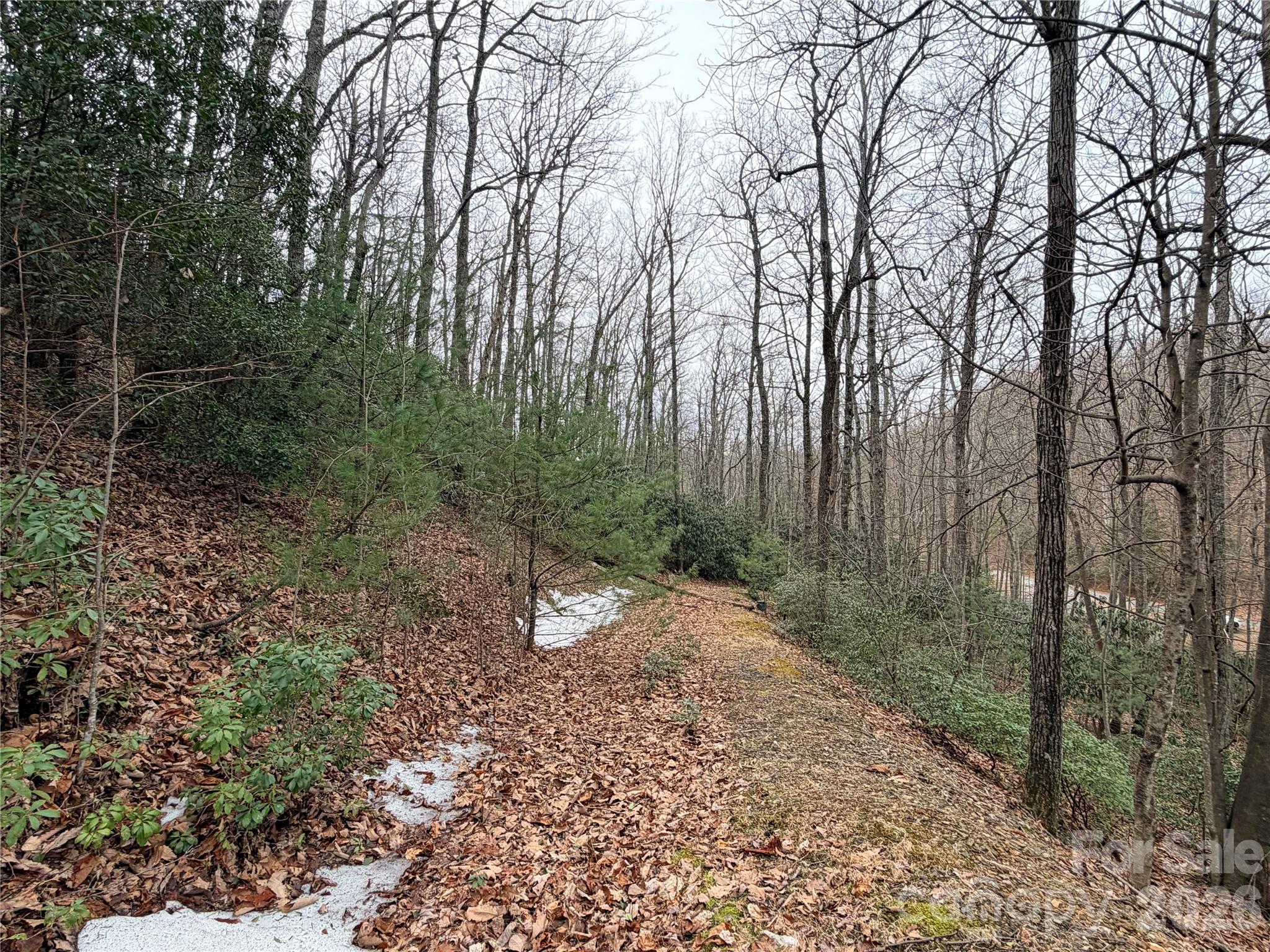 Looking Back to Road - TBD (Lot 19) Wolf Den Lane, Lenoir