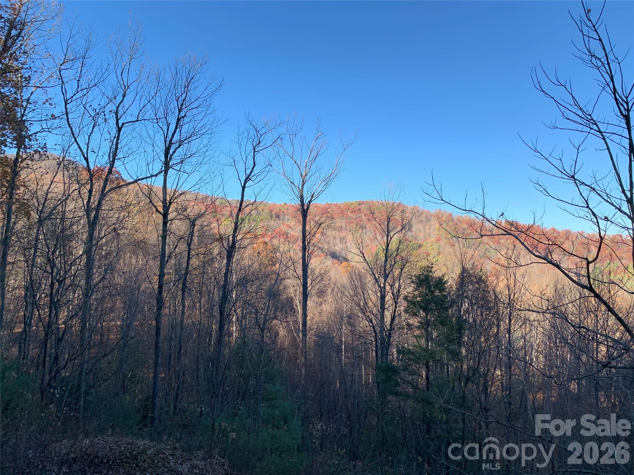 Looking Back to Road - TBD (Lot 19) Wolf Den Lane, Lenoir