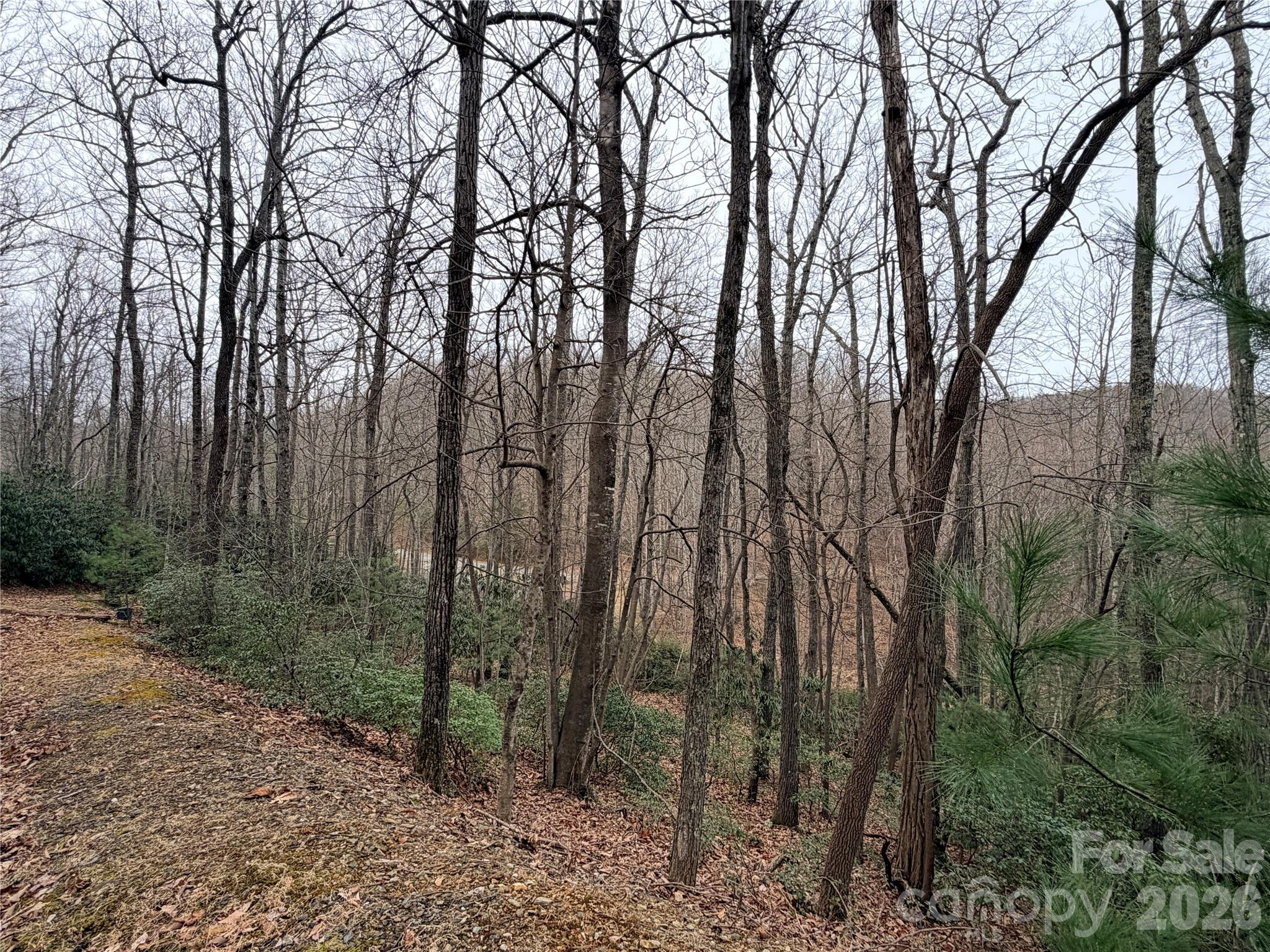 Lot at TBD (Lot 19) Wolf Den Lane, Lenoir, photo 13 of 14