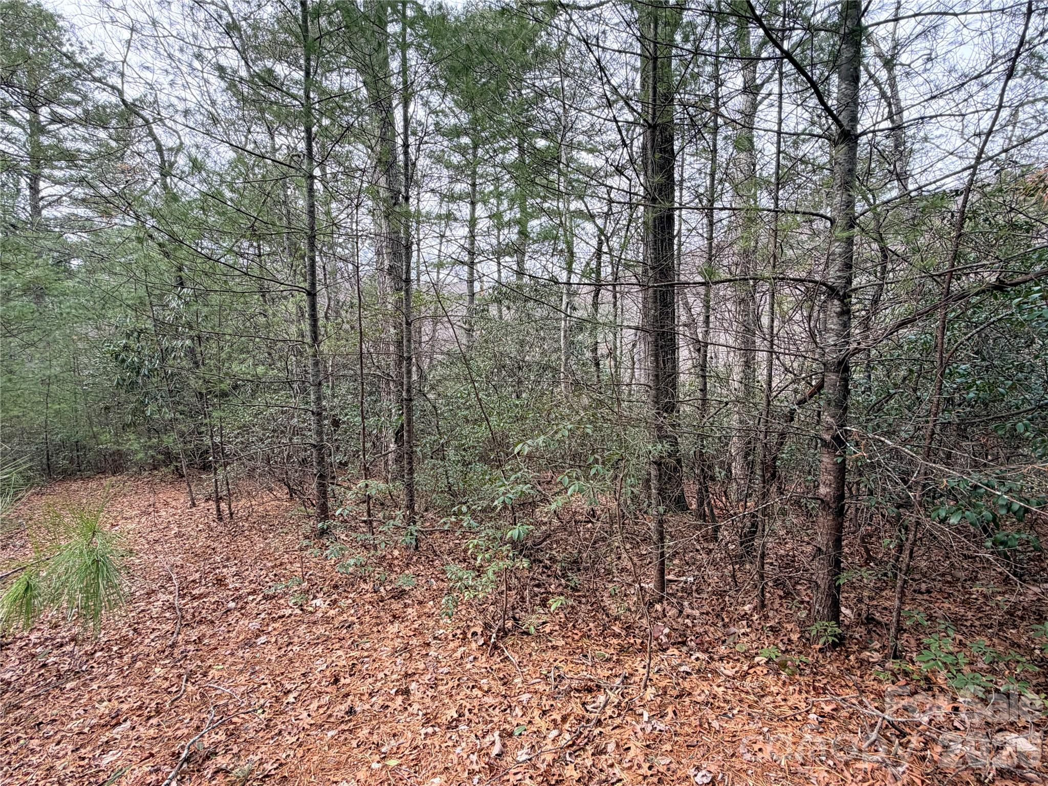 Easy Laying Lot - TBD (Lot 4) Wolf Den Lane, Lenoir