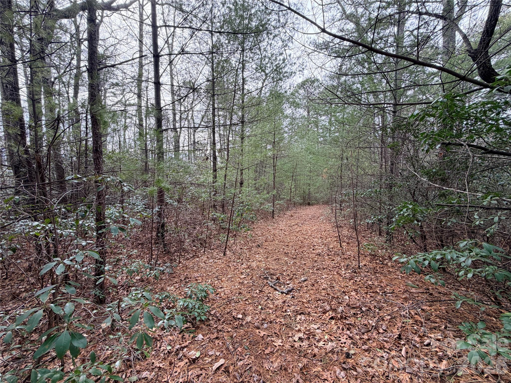 Lot at TBD (Lot 4) Wolf Den Lane, Lenoir, photo 4 of 18