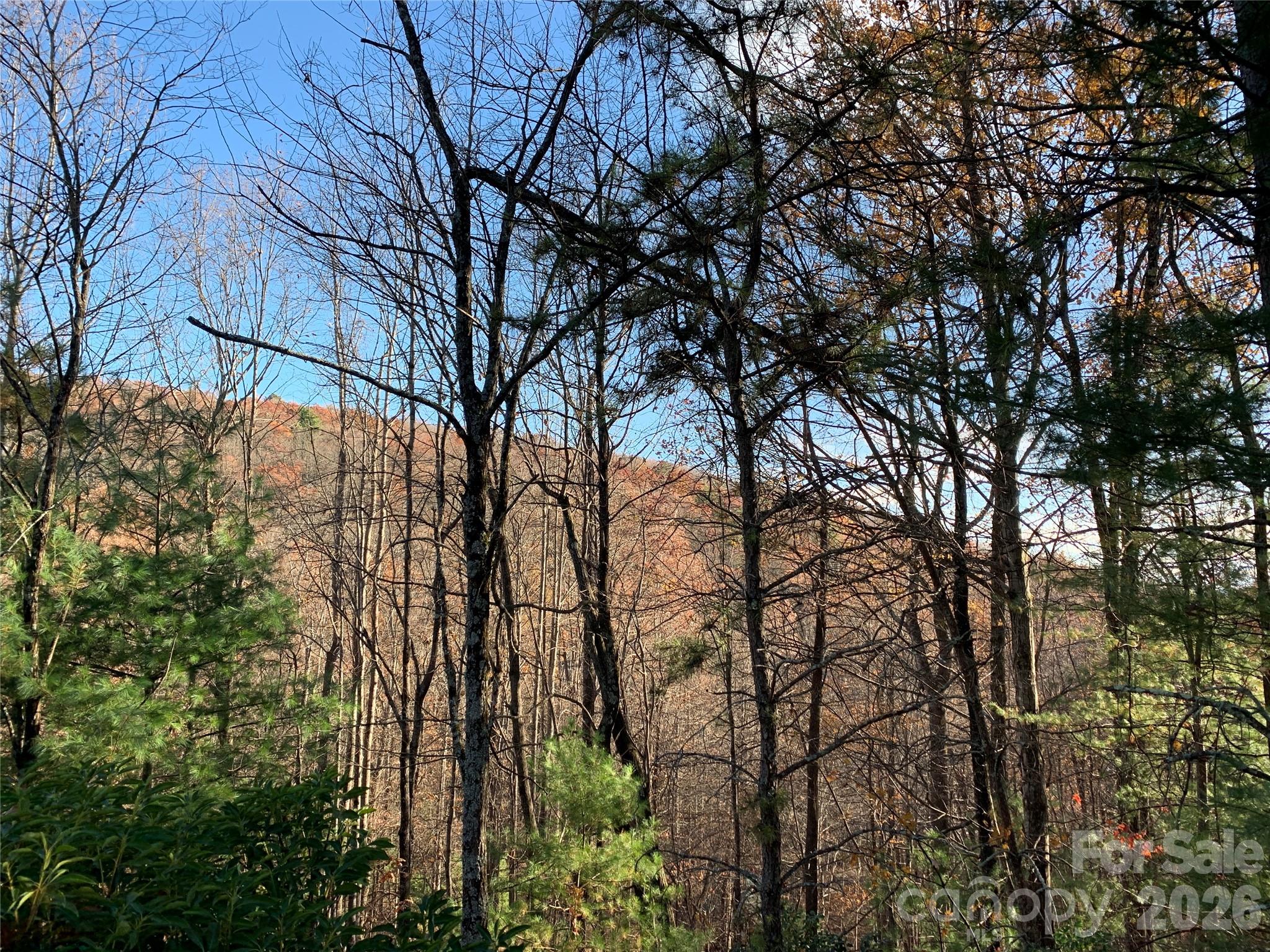 Lot at TBD (Lot 4) Wolf Den Lane, Lenoir, photo 5 of 18