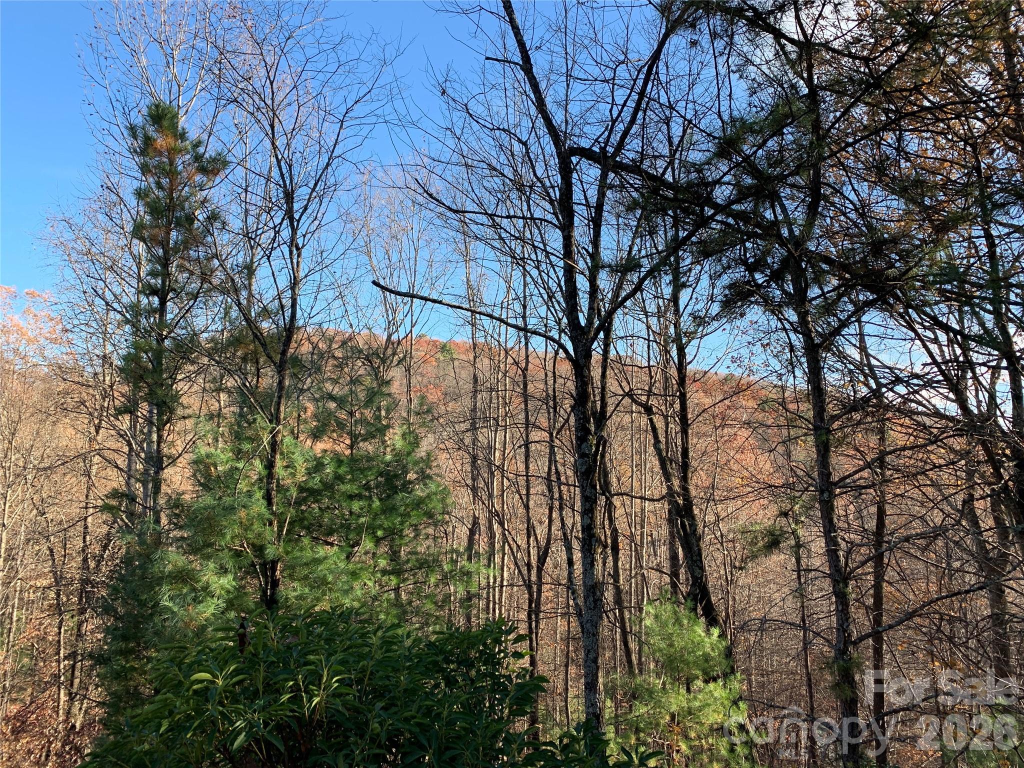 Lot at TBD (Lot 4) Wolf Den Lane, Lenoir, photo 6 of 18