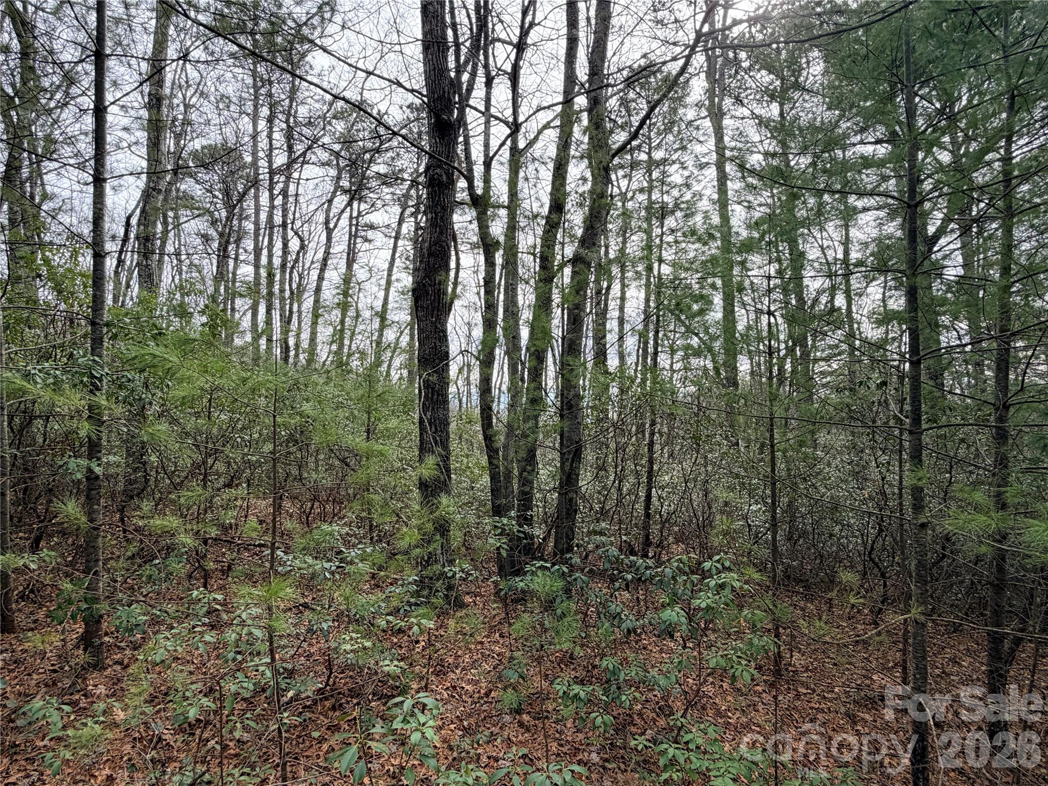 Lot at TBD (Lot 4) Wolf Den Lane, Lenoir, photo 7 of 18