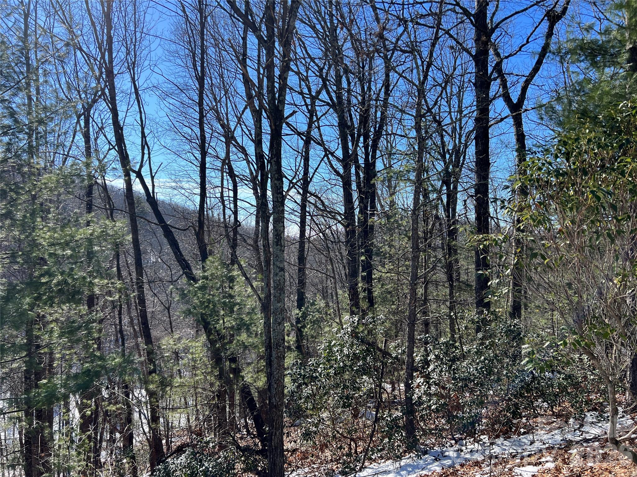 Lot at TBD (Lot 4) Wolf Den Lane, Lenoir, photo 12 of 18
