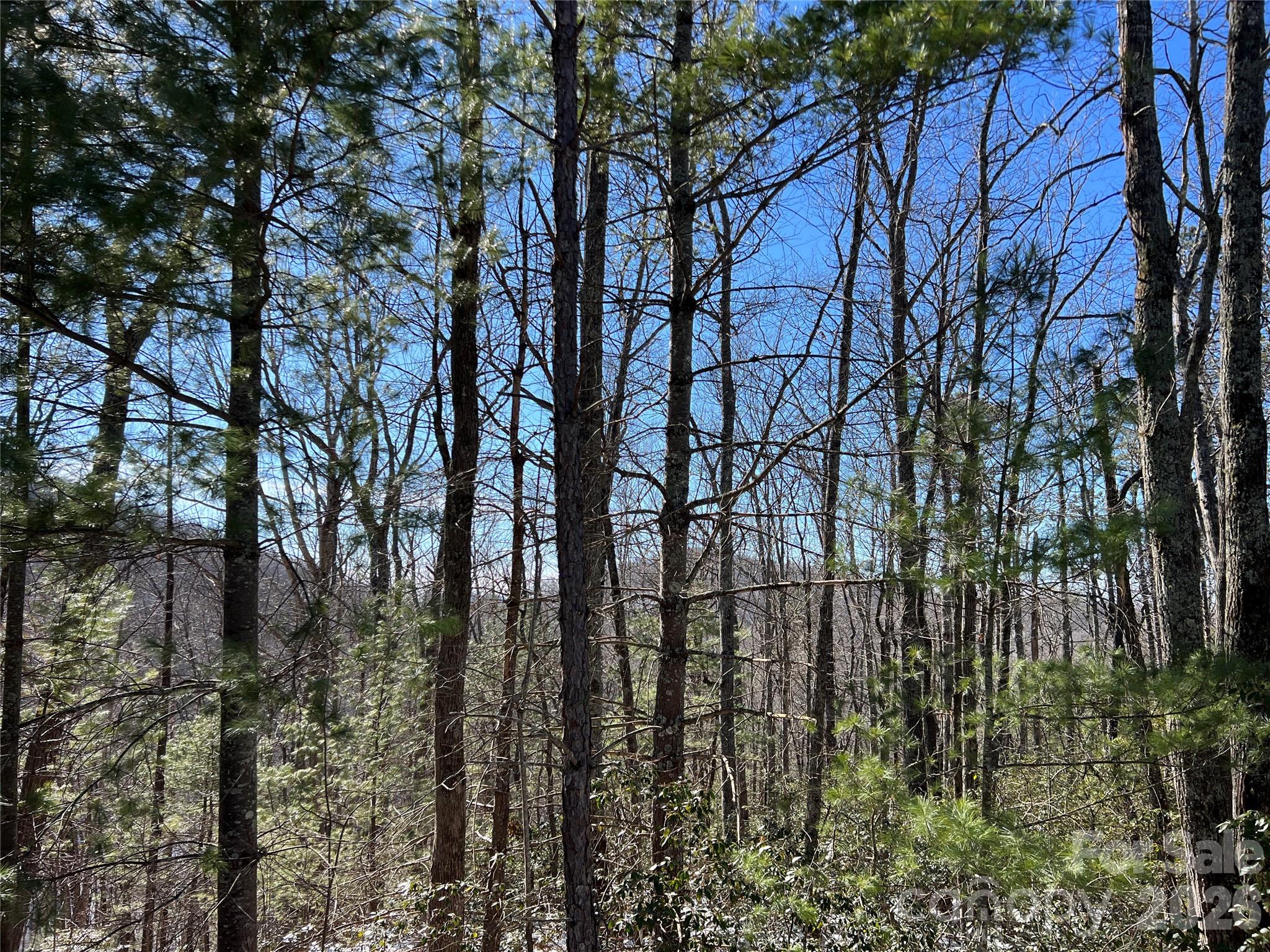 Bottom of Property - TBD (Lot 4) Wolf Den Lane, Lenoir