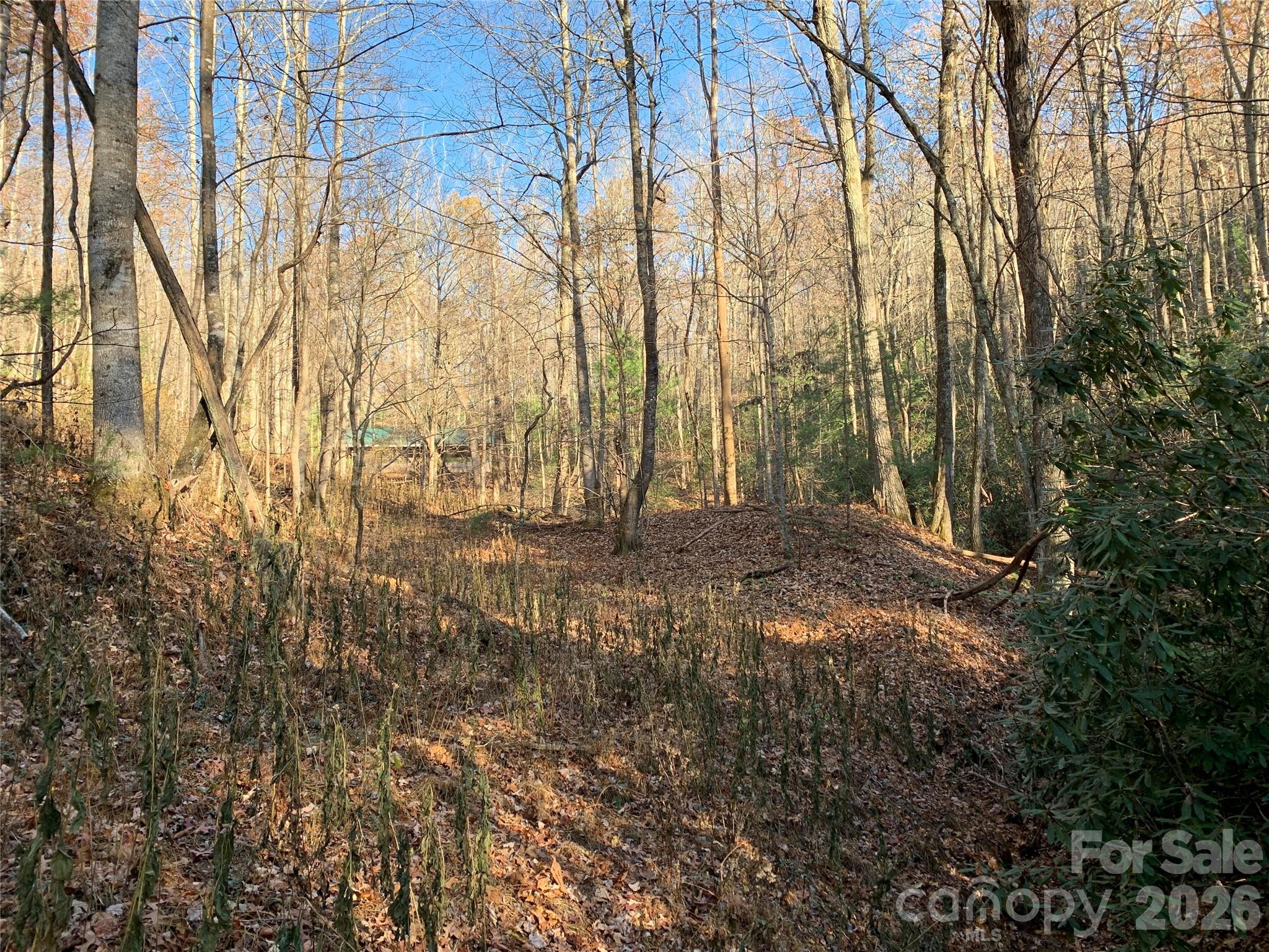 Bottom of Property - TBD (Lot 4) Wolf Den Lane, Lenoir