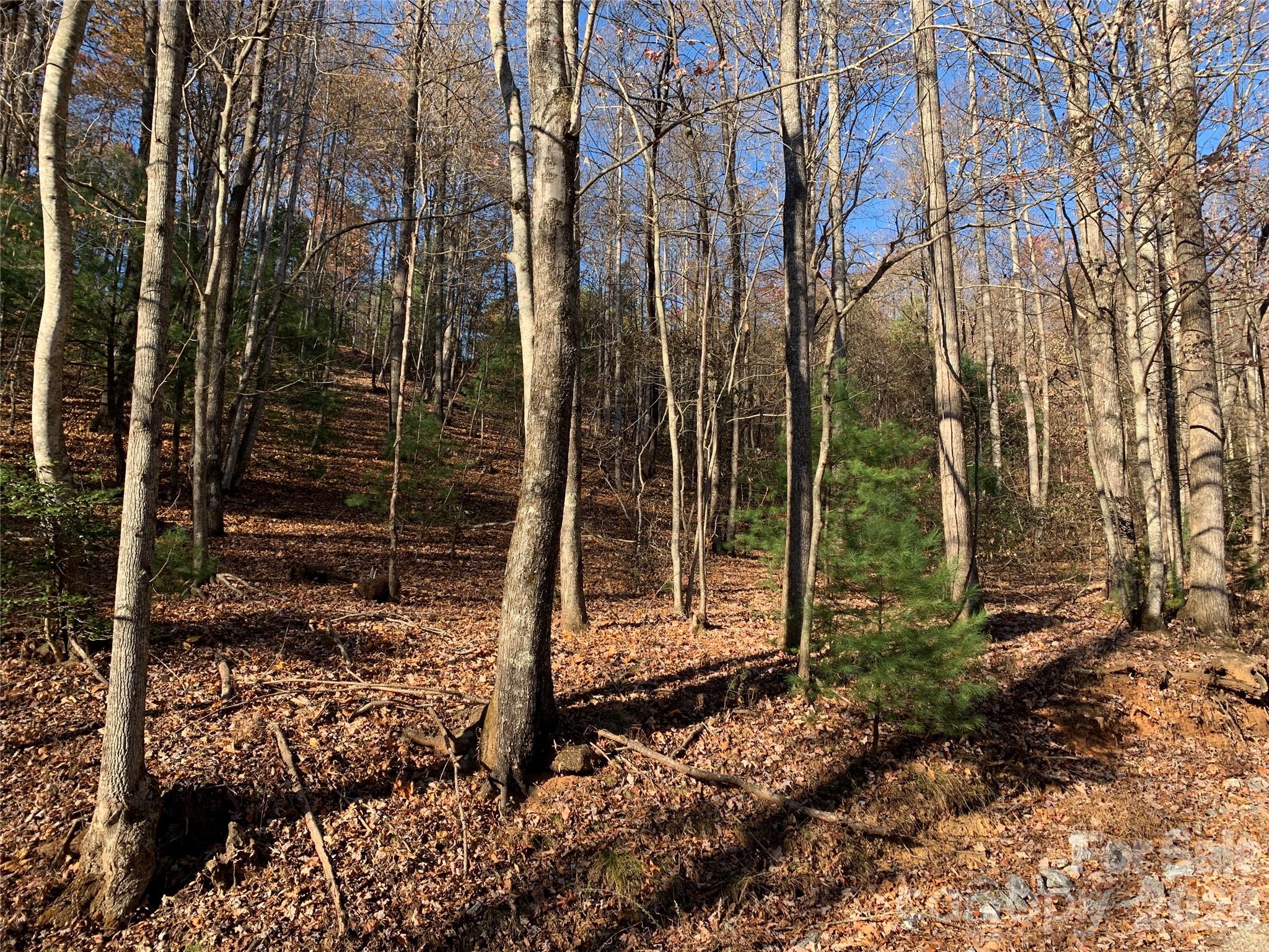 Bottom of Property - TBD (Lot 4) Wolf Den Lane, Lenoir
