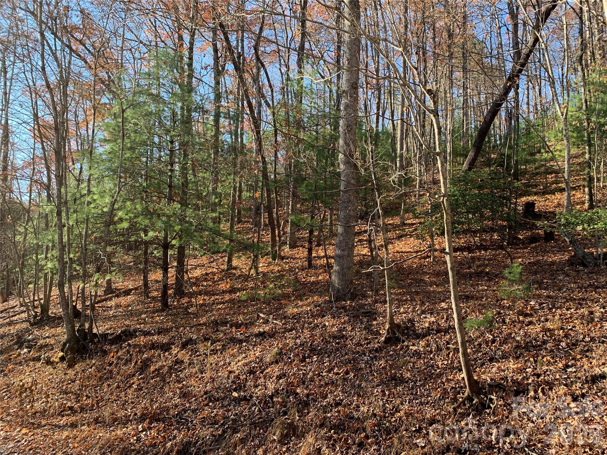 Looking Up at Property - TBD (Lot 4) Wolf Den Lane, Lenoir