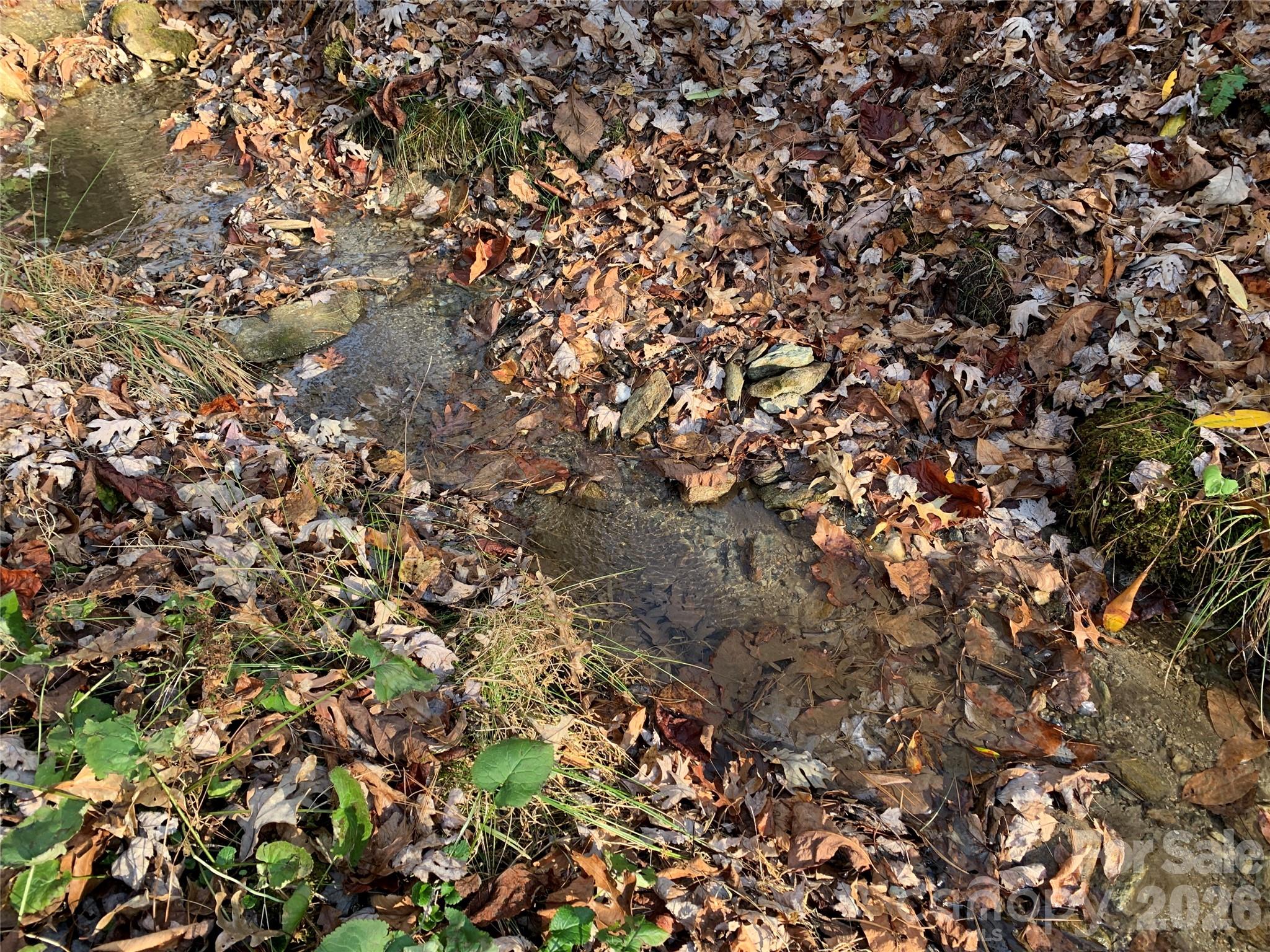 Small Creek at Bottom of Property - TBD (Lot 4) Wolf Den Lane, Lenoir