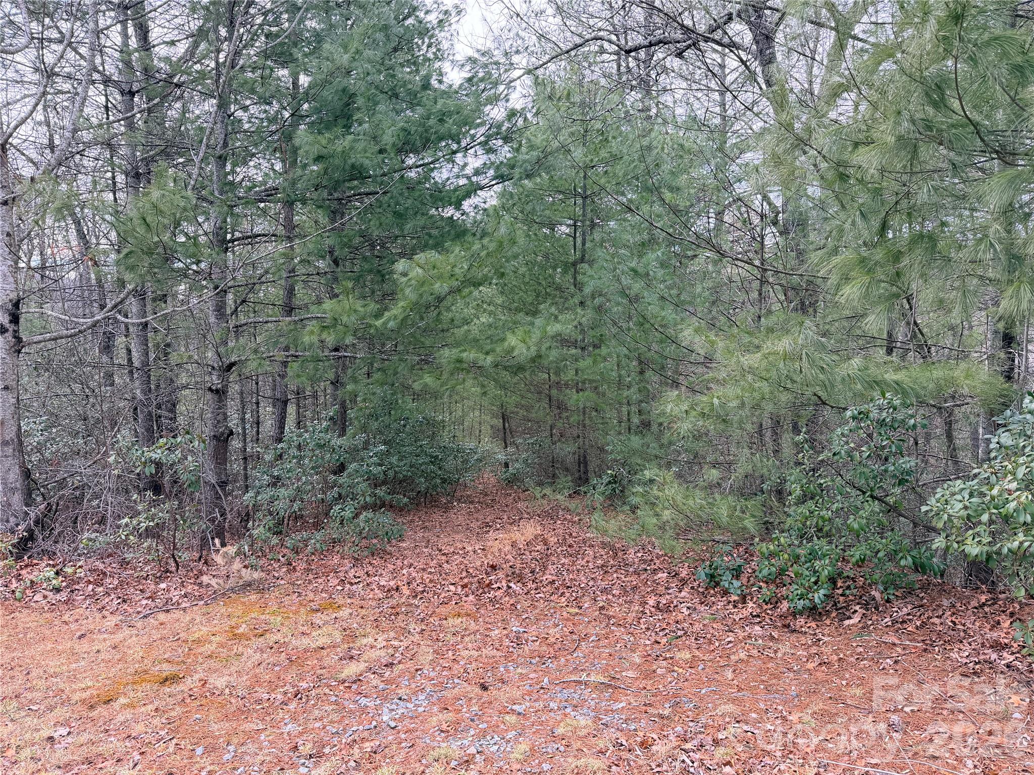 Access to Property - TBD (Lot 1) Dugger Firetower Road, Lenoir