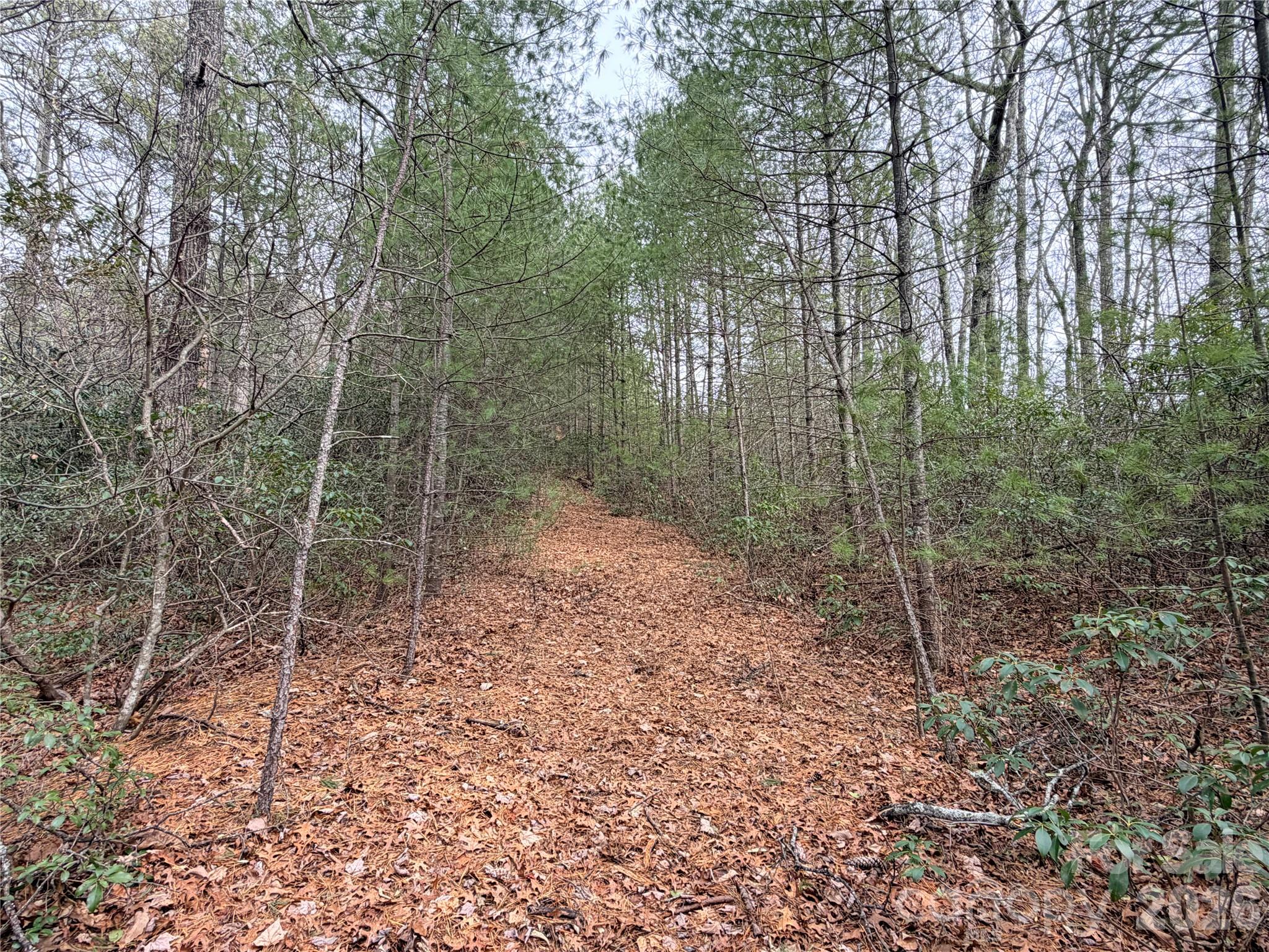 ROW to Top of Lot - TBD (Lot 1) Dugger Firetower Road, Lenoir