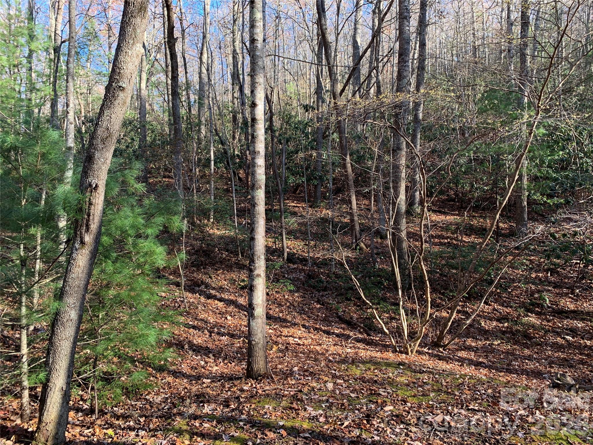 Lot at TBD (Lot 1) Dugger Firetower Road, Lenoir, photo 9 of 15