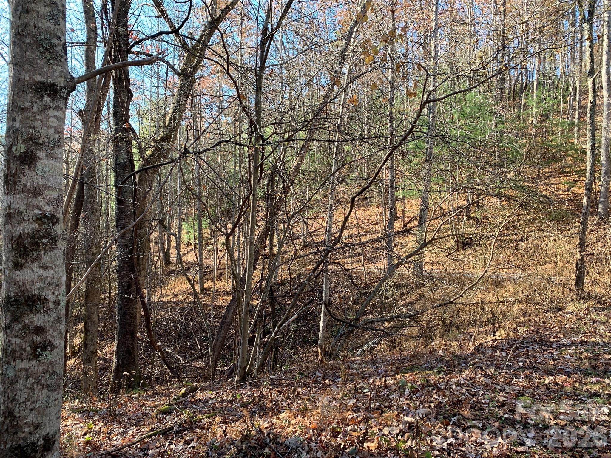 Lot at TBD (Lot 1) Dugger Firetower Road, Lenoir, photo 10 of 15