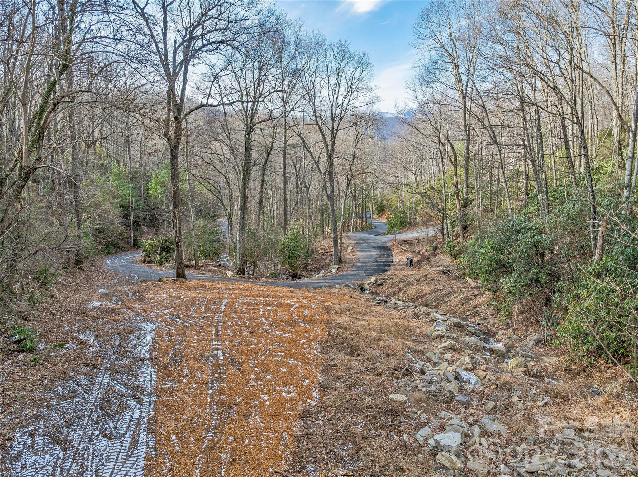 Lot at 119 Wildflower Cove Drive, Swannanoa, photo 2 of 48