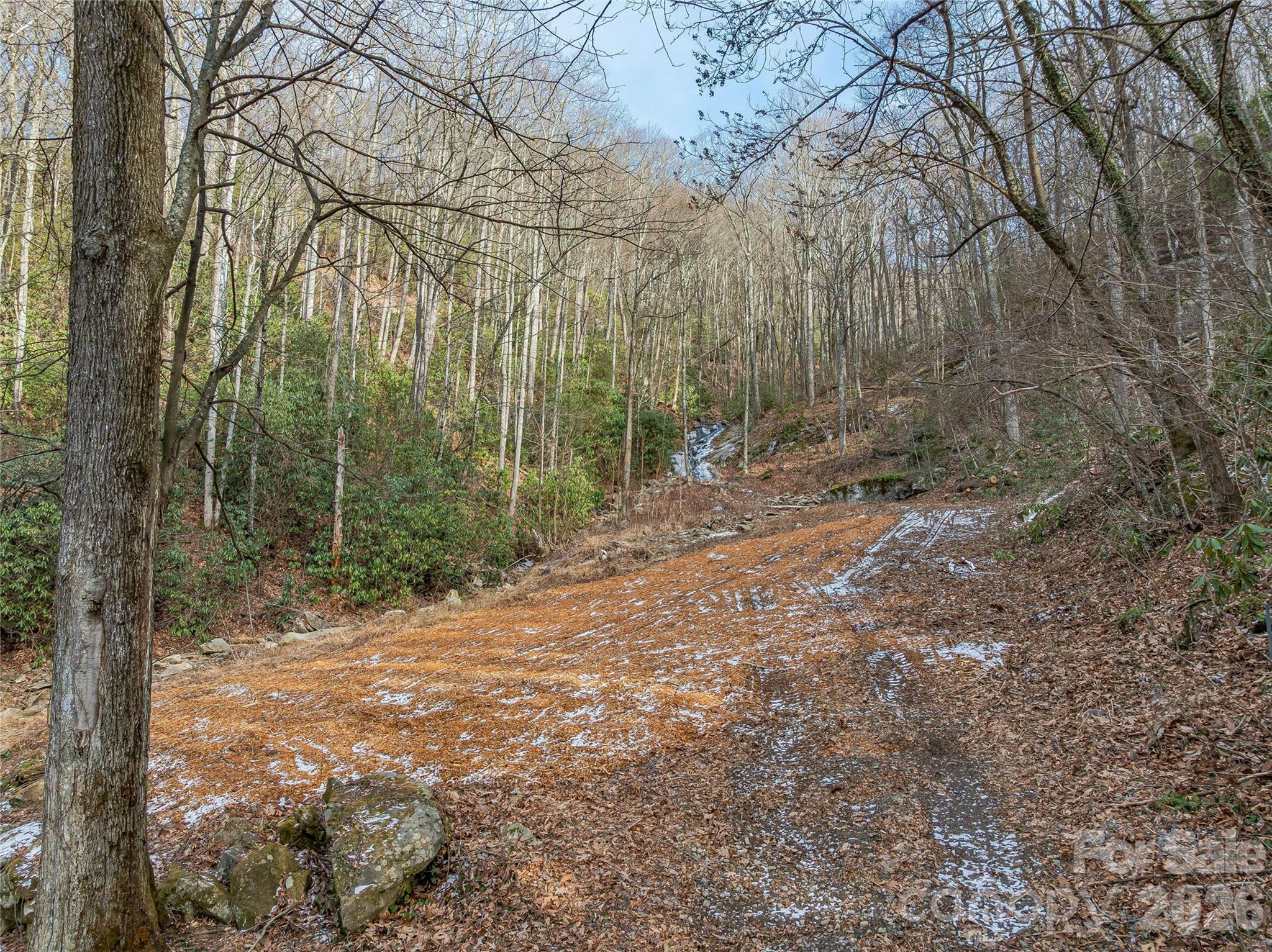 Lot at 119 Wildflower Cove Drive, Swannanoa, photo 12 of 48