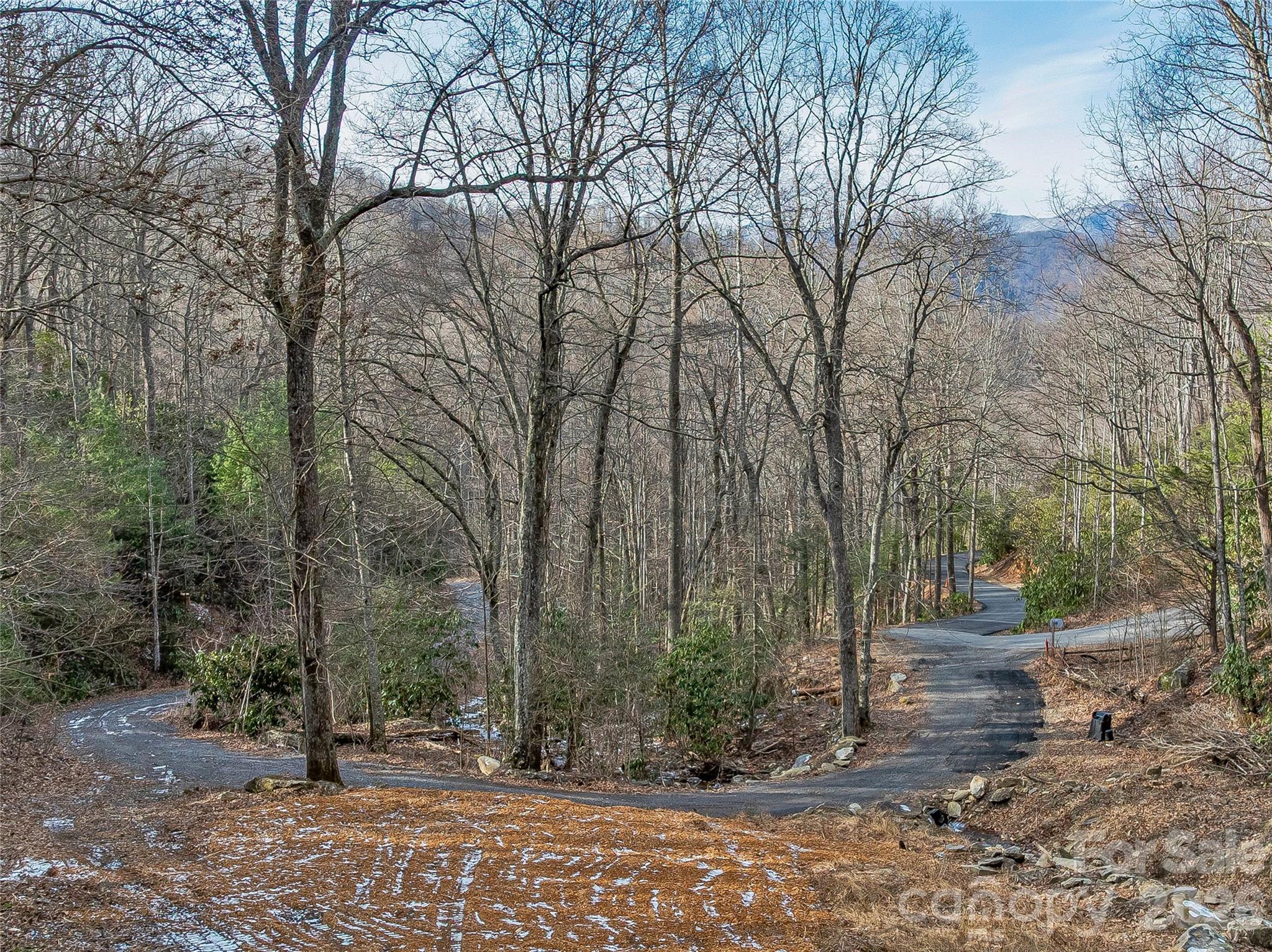 Lot at 119 Wildflower Cove Drive, Swannanoa, photo 4 of 48