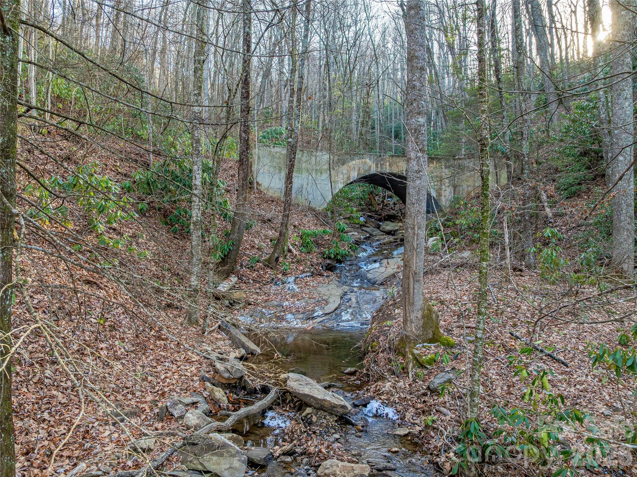 Lot at 119 Wildflower Cove Drive, Swannanoa, photo 17 of 48
