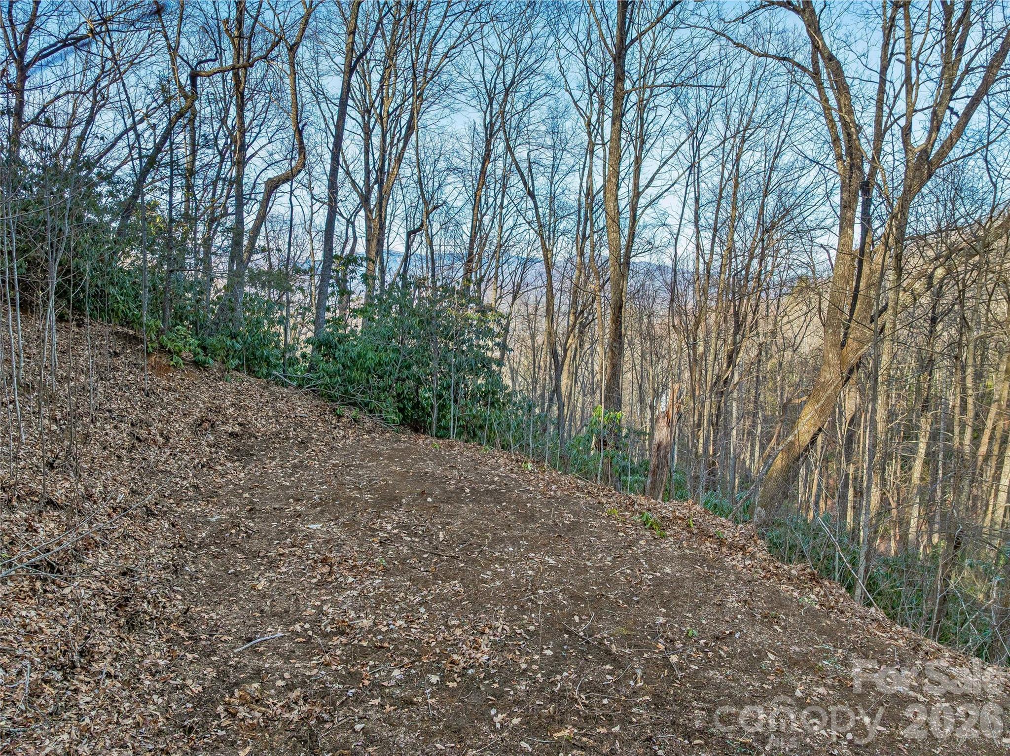 Lot at 119 Wildflower Cove Drive, Swannanoa, photo 21 of 48