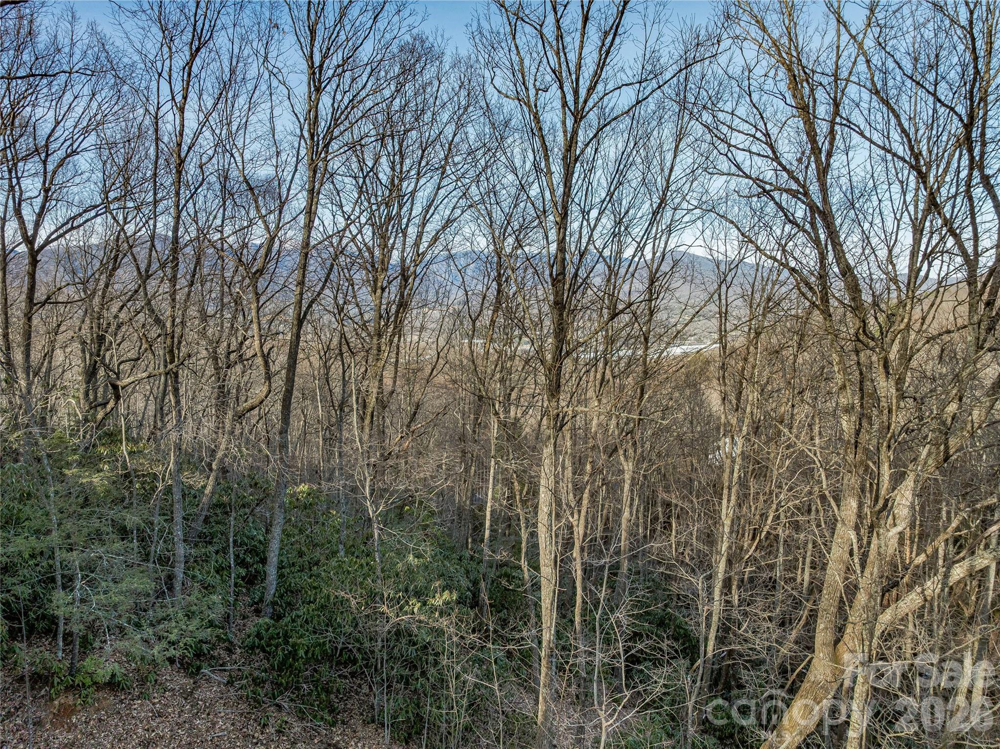 Lot at 119 Wildflower Cove Drive, Swannanoa, photo 22 of 48